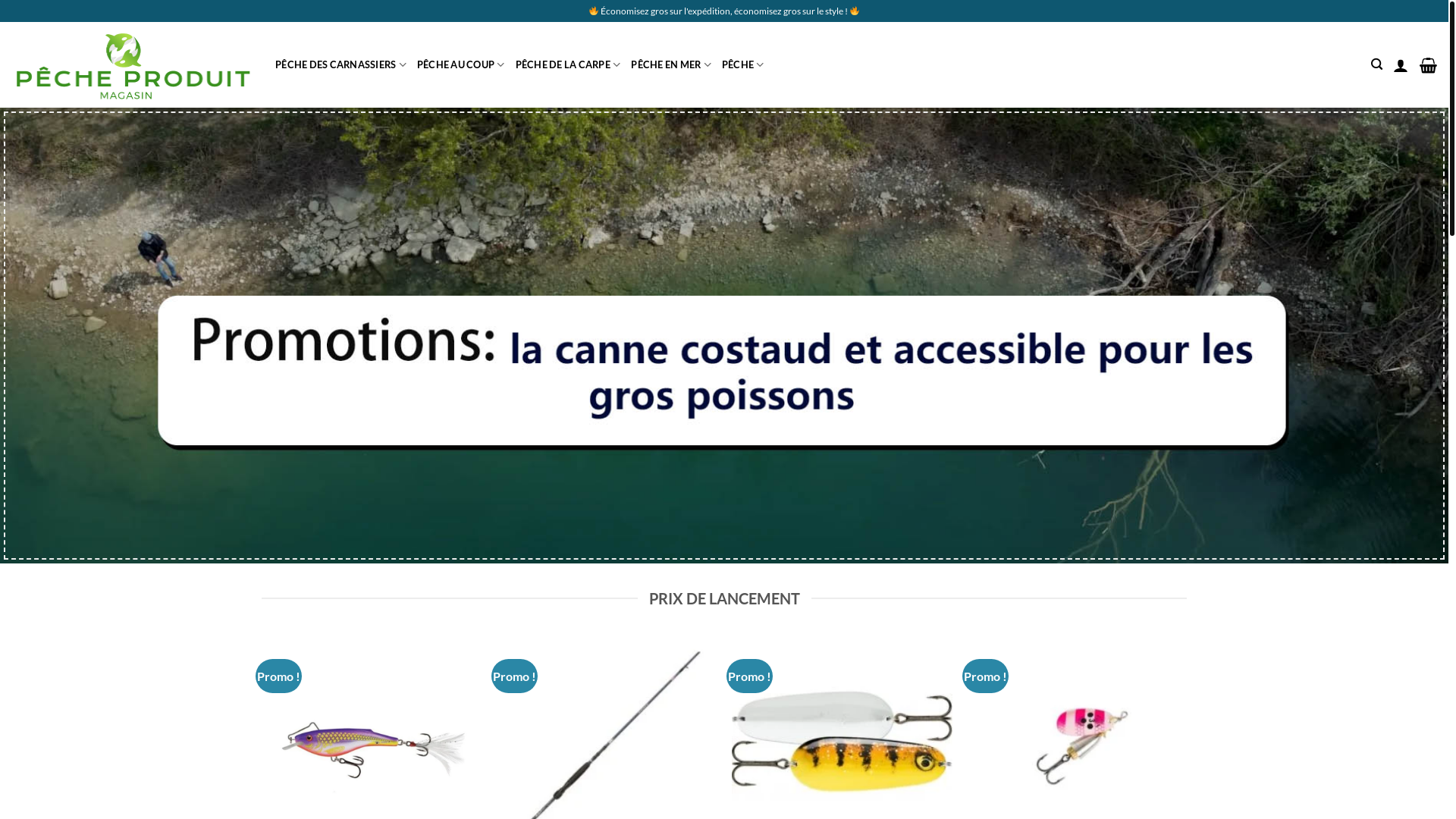 website screenshot of https://pecherabaisfr.com/