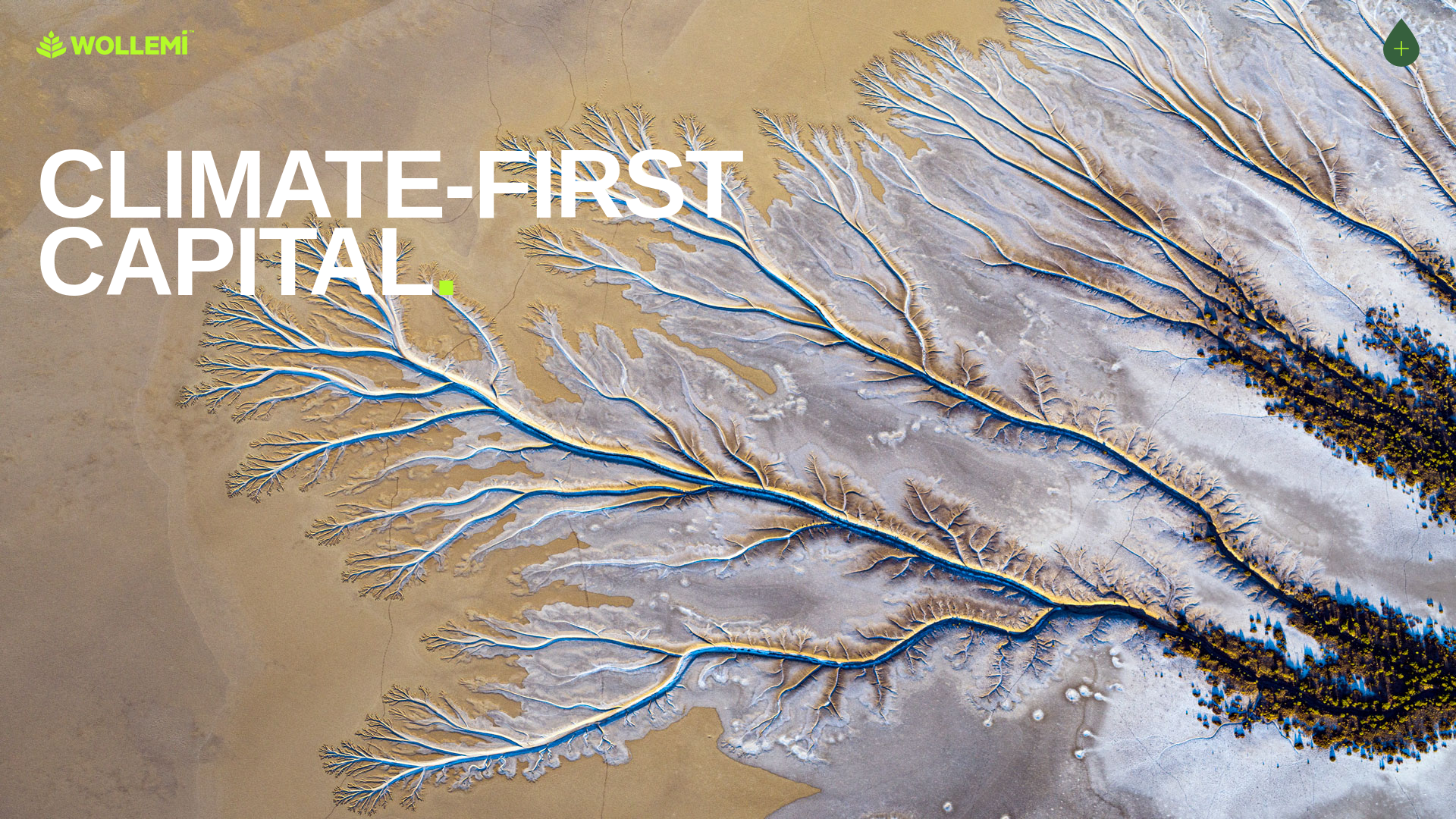 website screenshot of https://wollemiventurecapital.com.au