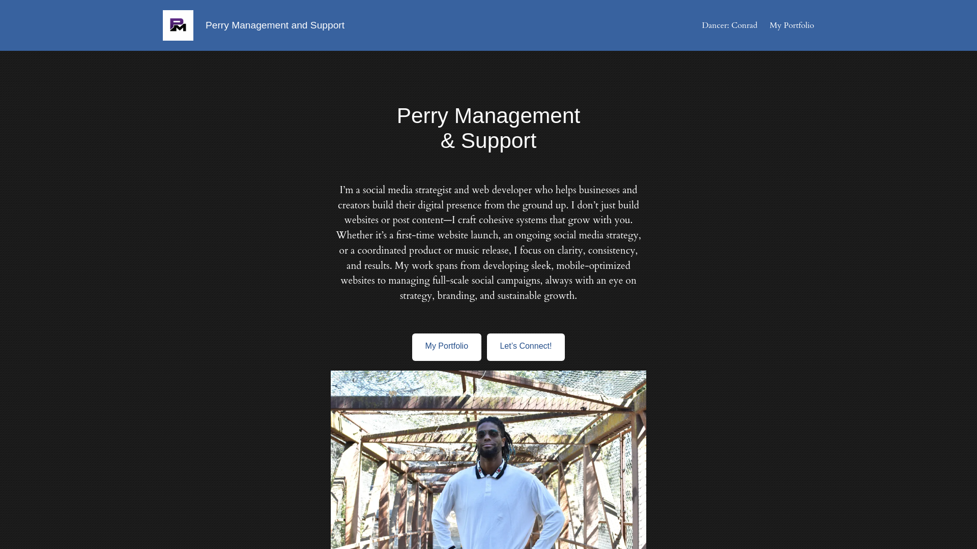 website screenshot of https://perrymanagement.group