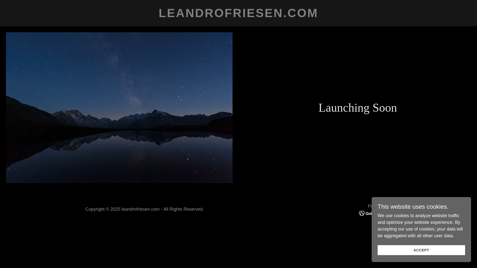 website screenshot of https://leandrofriesen.com/