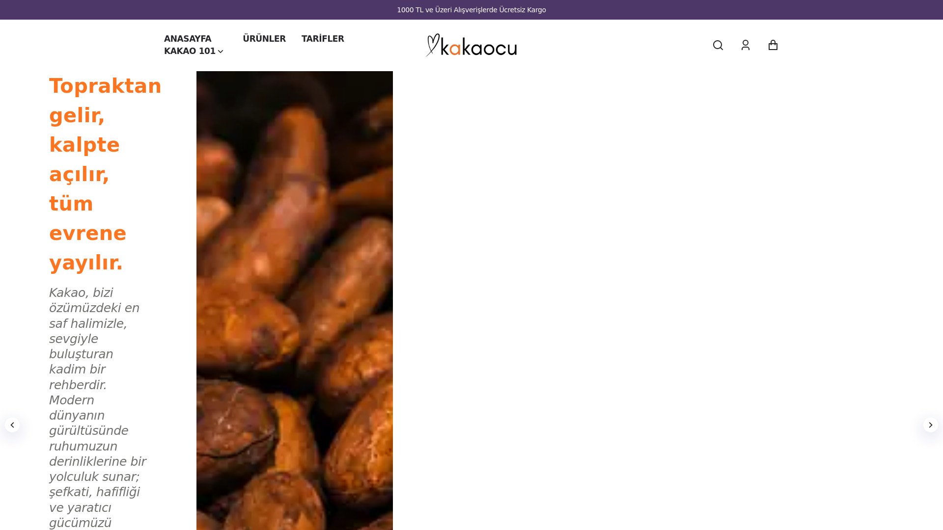 website screenshot of https://kakaocu.com/
