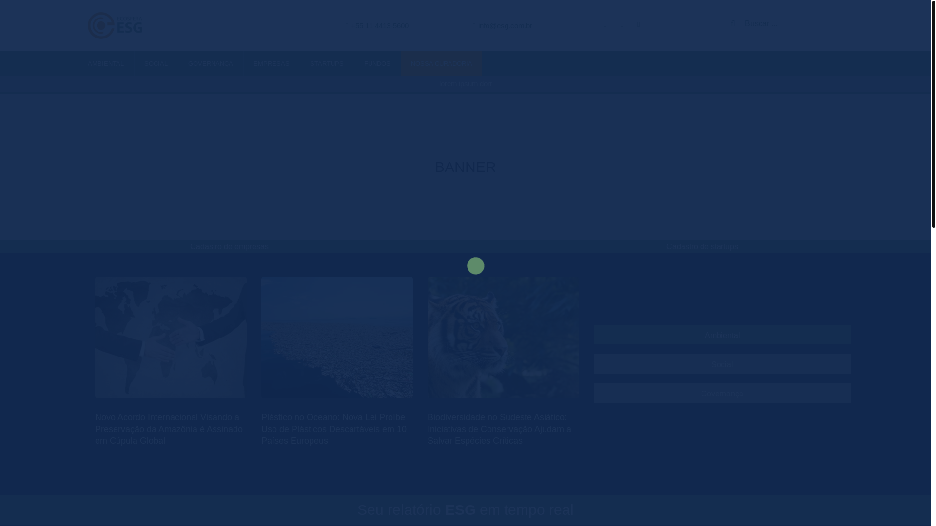 website screenshot of https://ecoesferaesg.com.br/