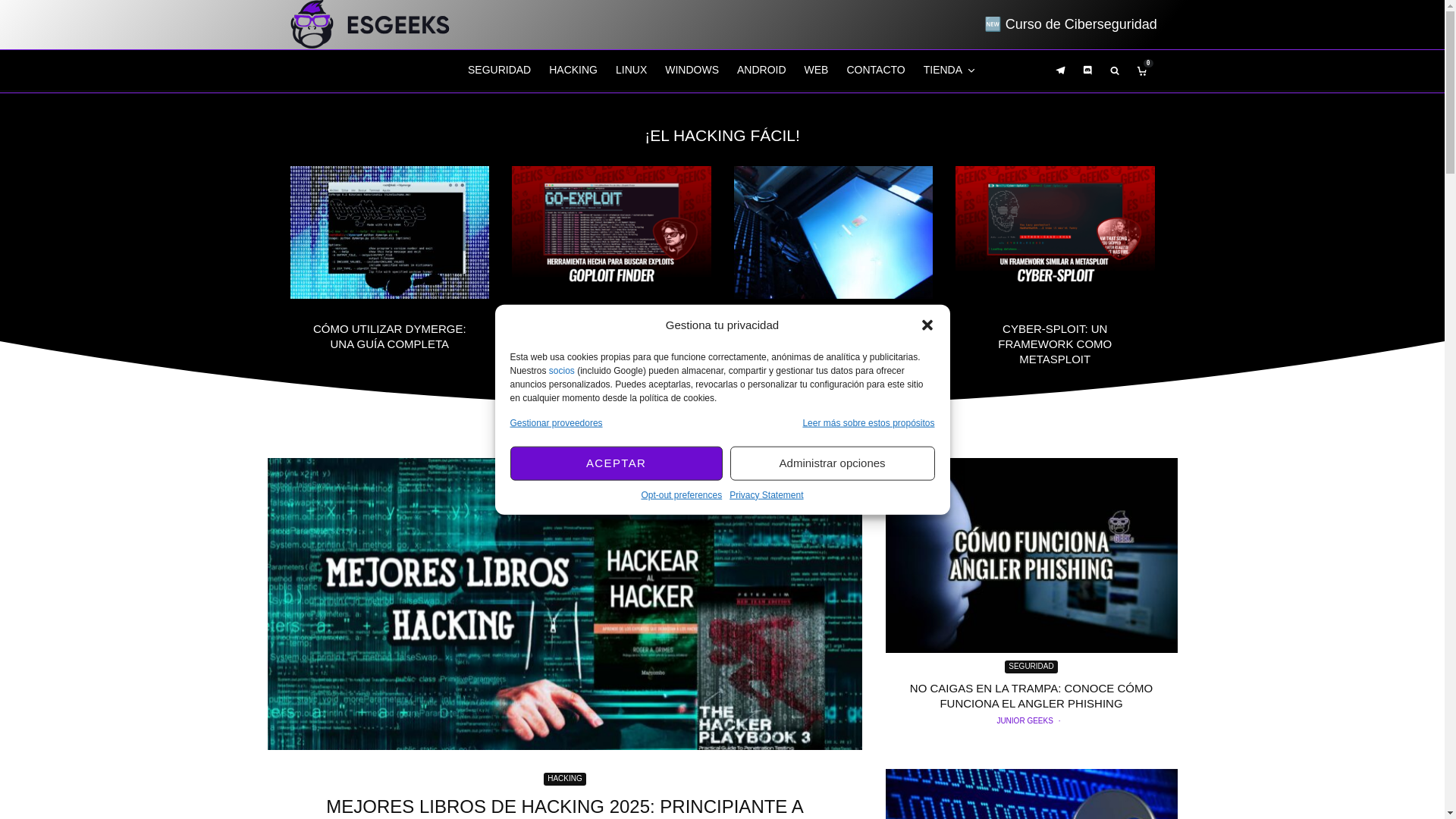 website screenshot of https://esgeeks.com/