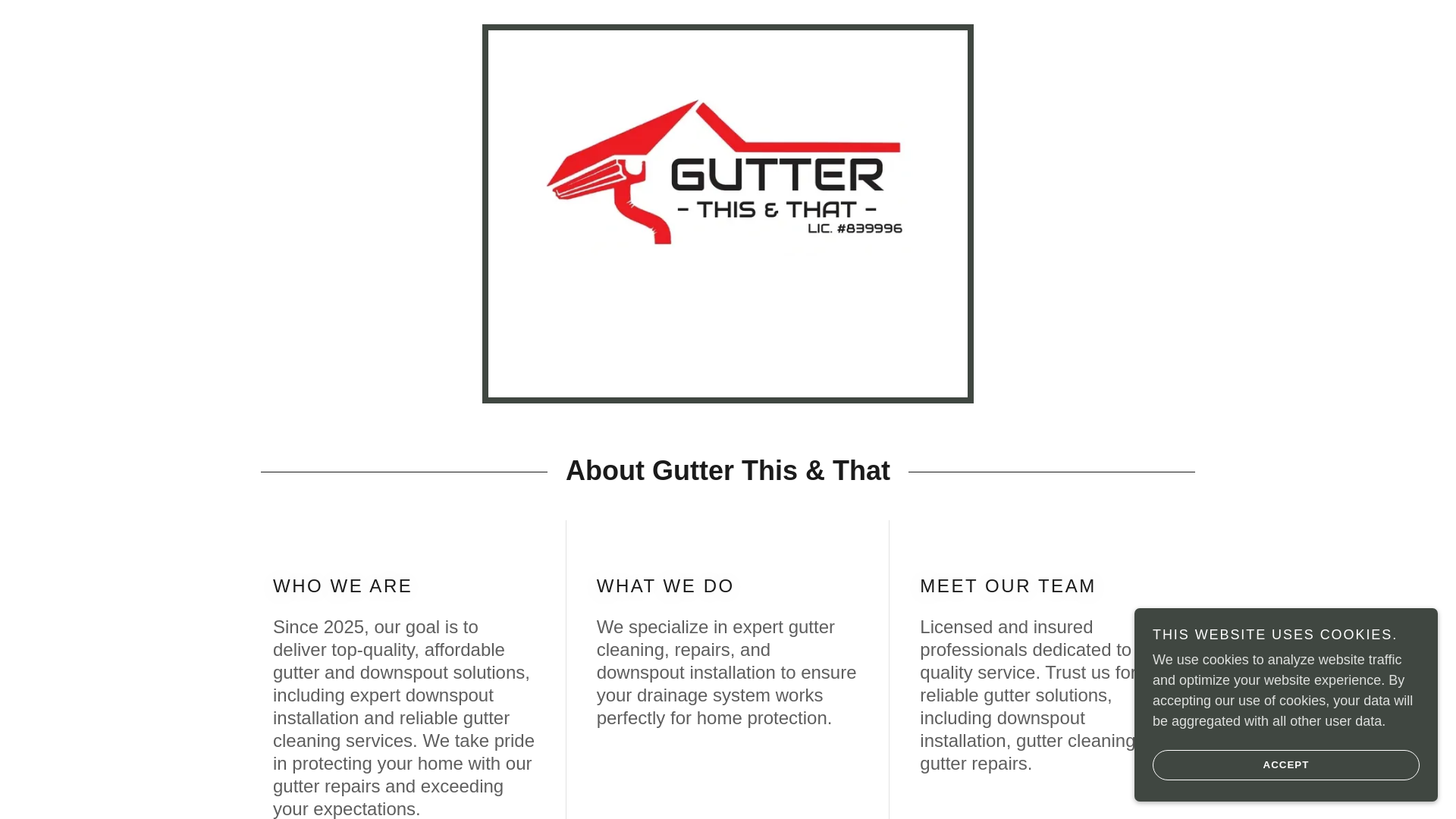 website screenshot of https://gutterthisandthat.com