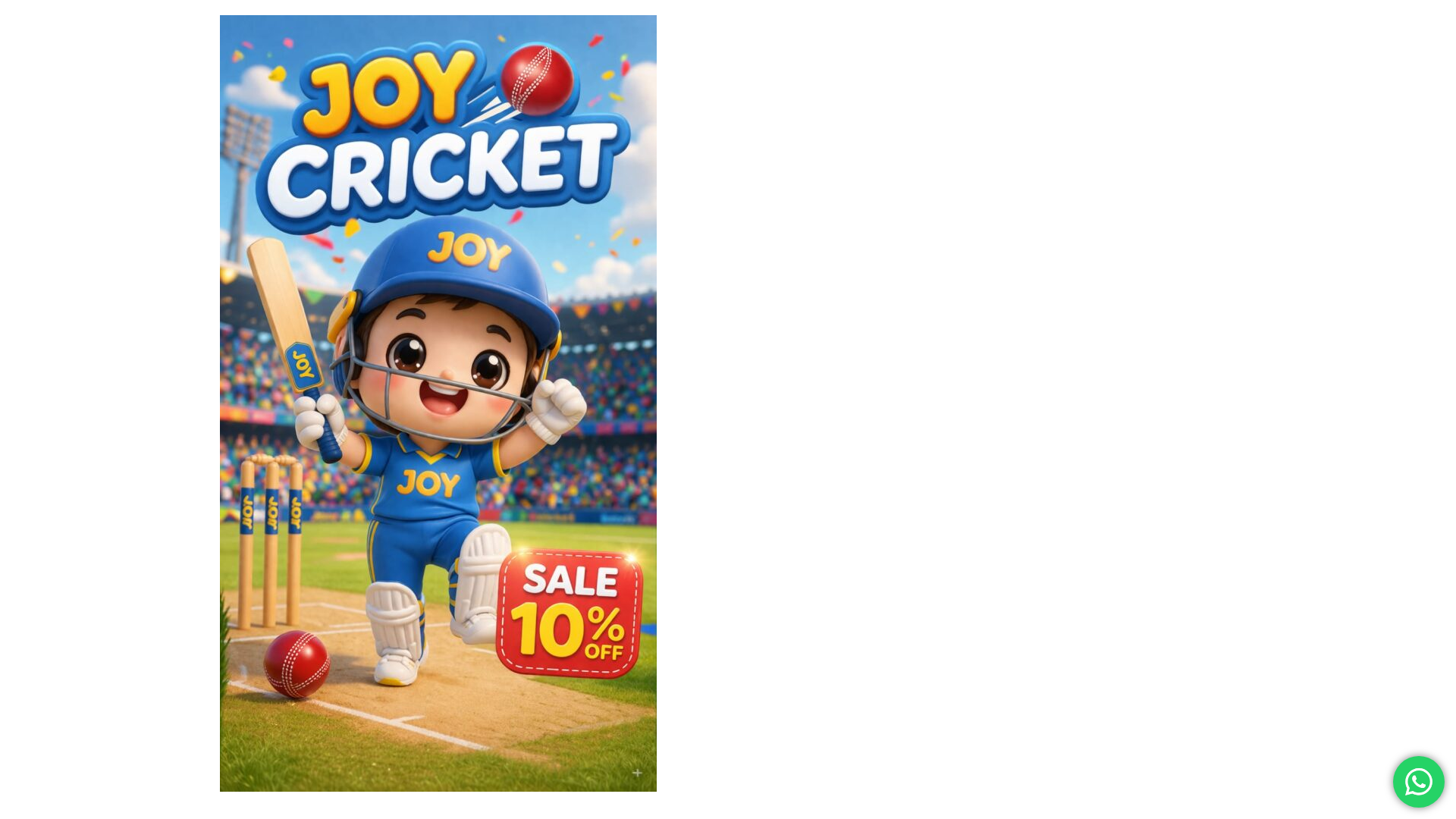 website screenshot of https://toyenterprises.store