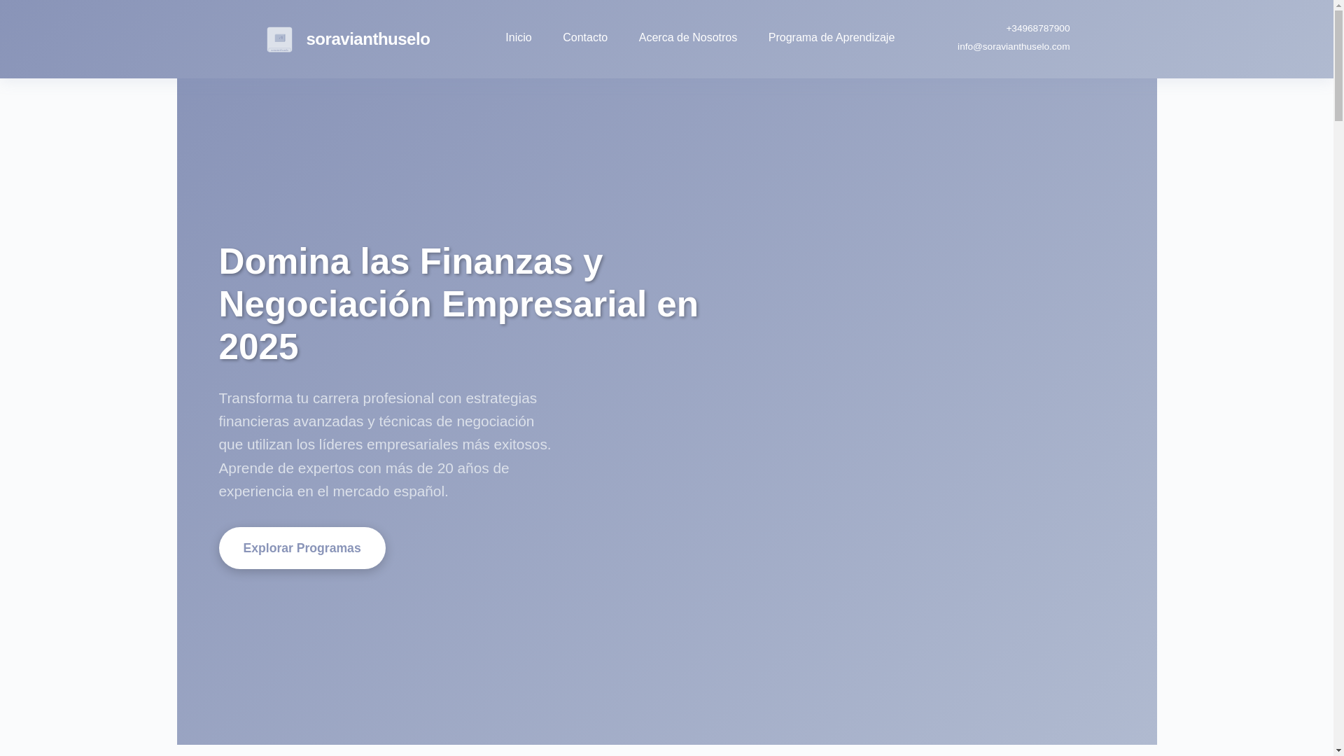 website screenshot of https://soravianthuselo.com/