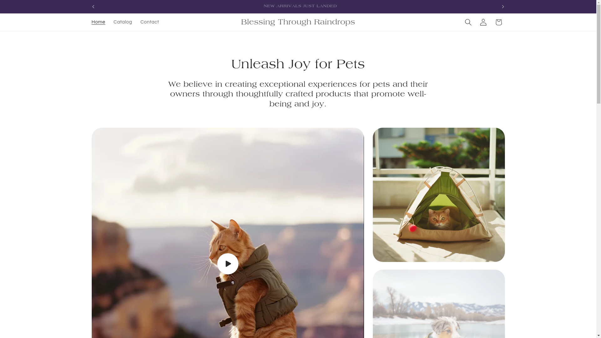 website screenshot of https://blessingthroughraindrops.com/