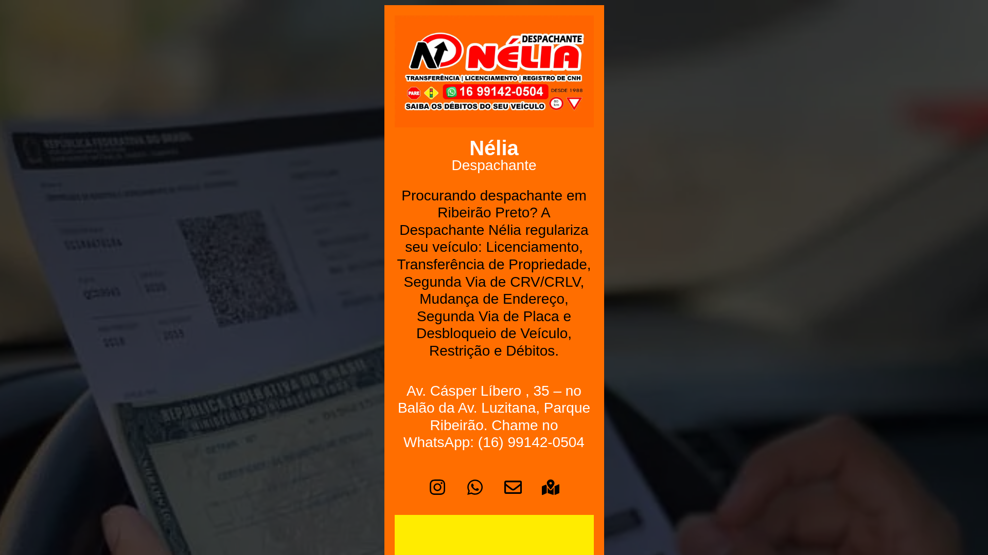 website screenshot of https://neliadespachante.com.br/