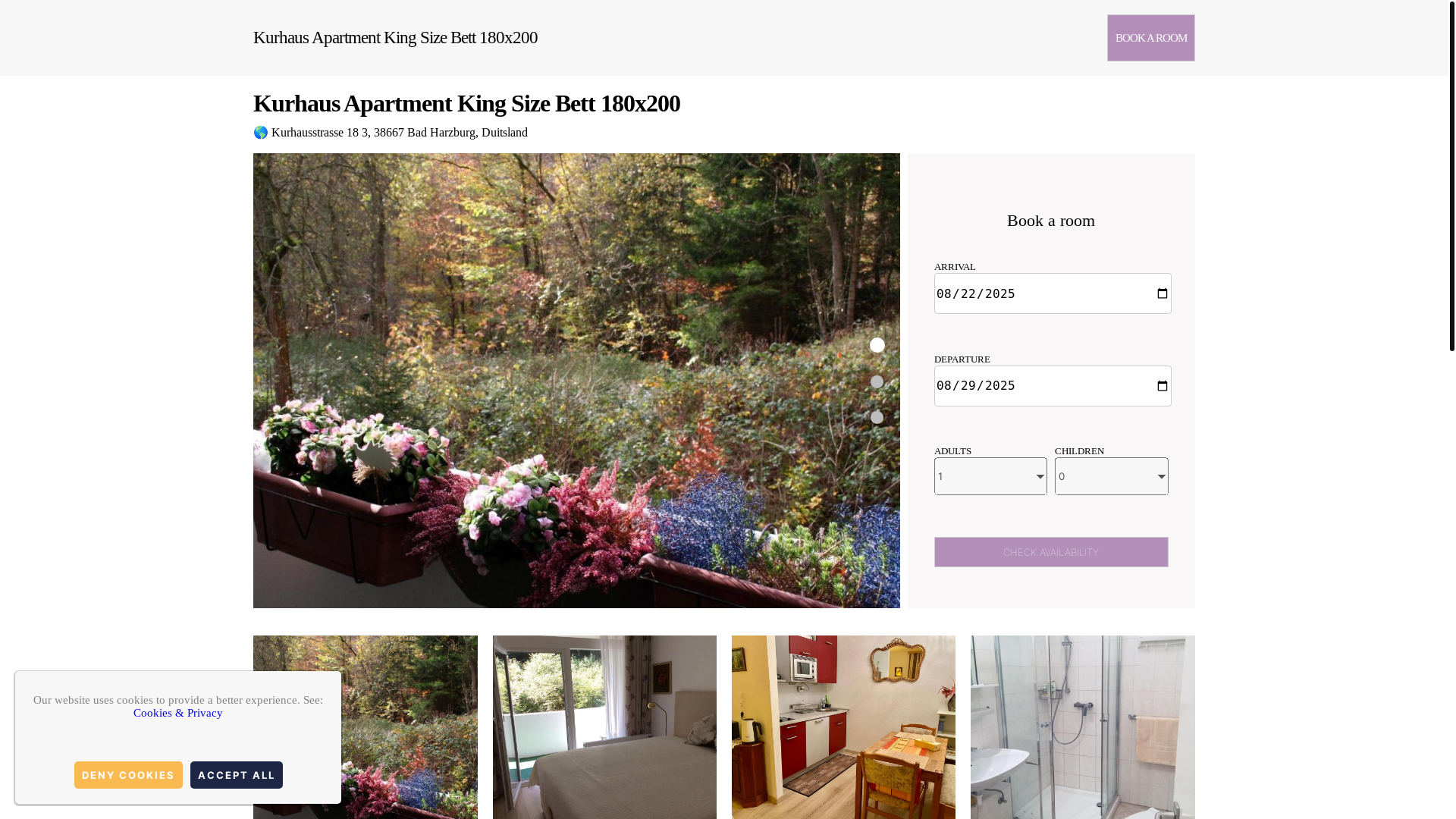 website screenshot of https://pension-am-kurhaus.org.es/