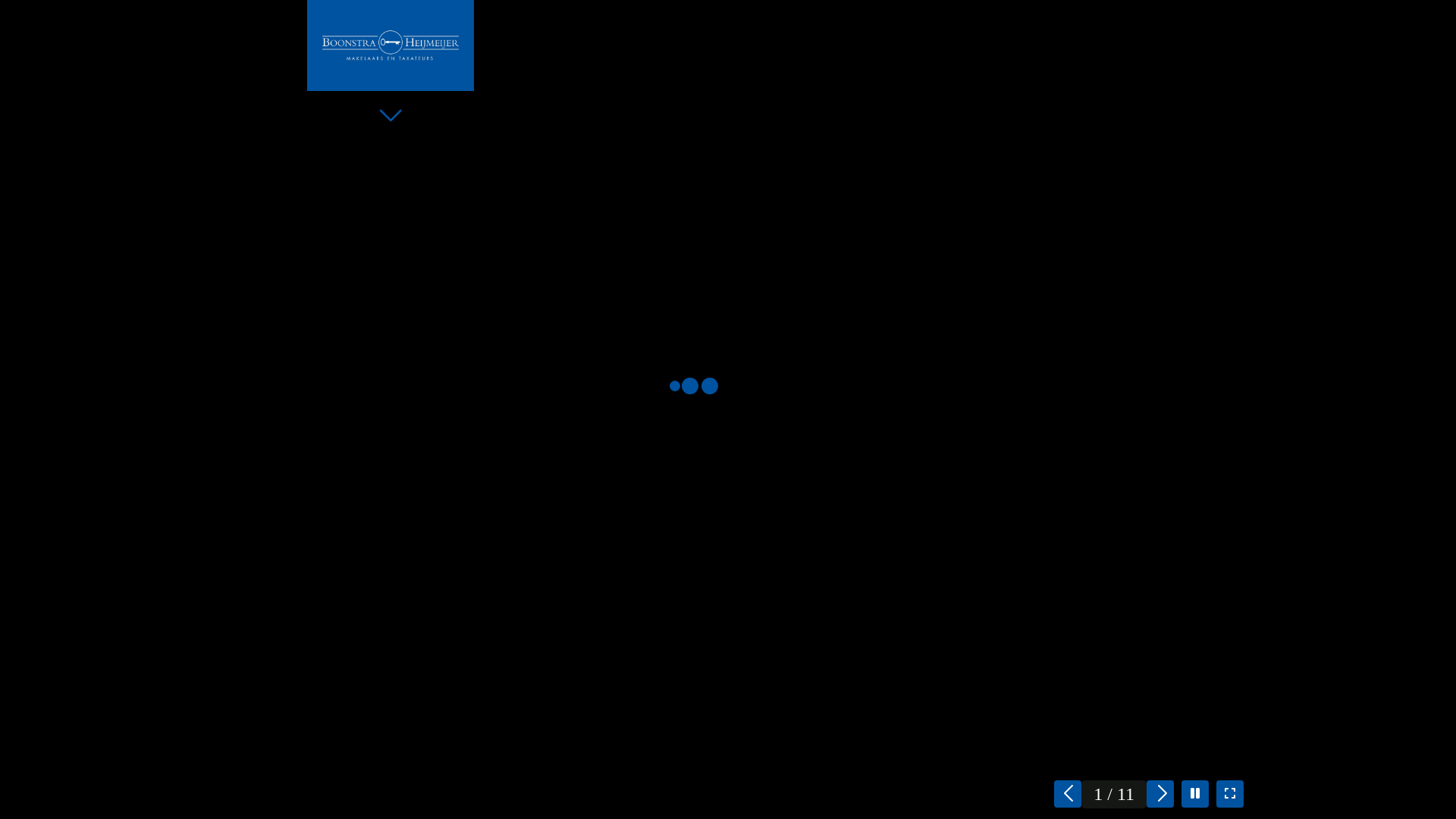 website screenshot of https://zandvoorterallee84.nl