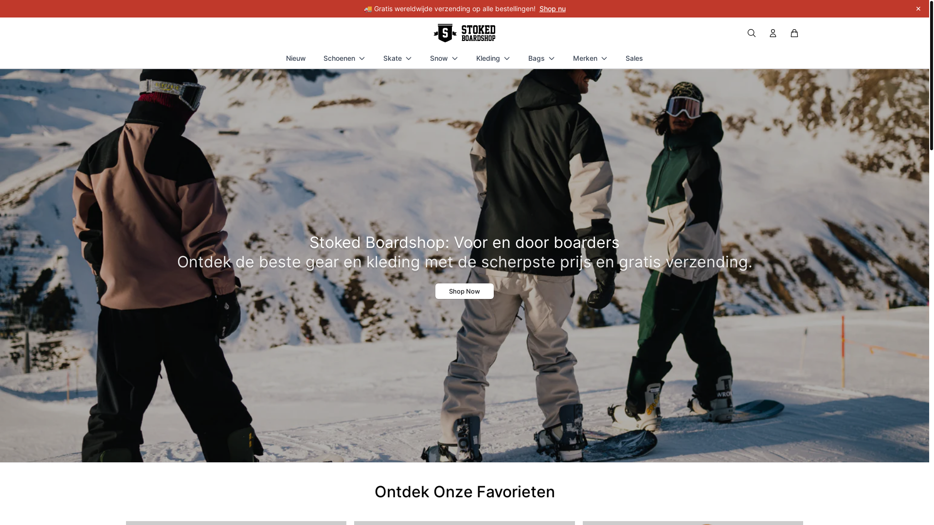 website screenshot of https://shopstokedboardshop.shop