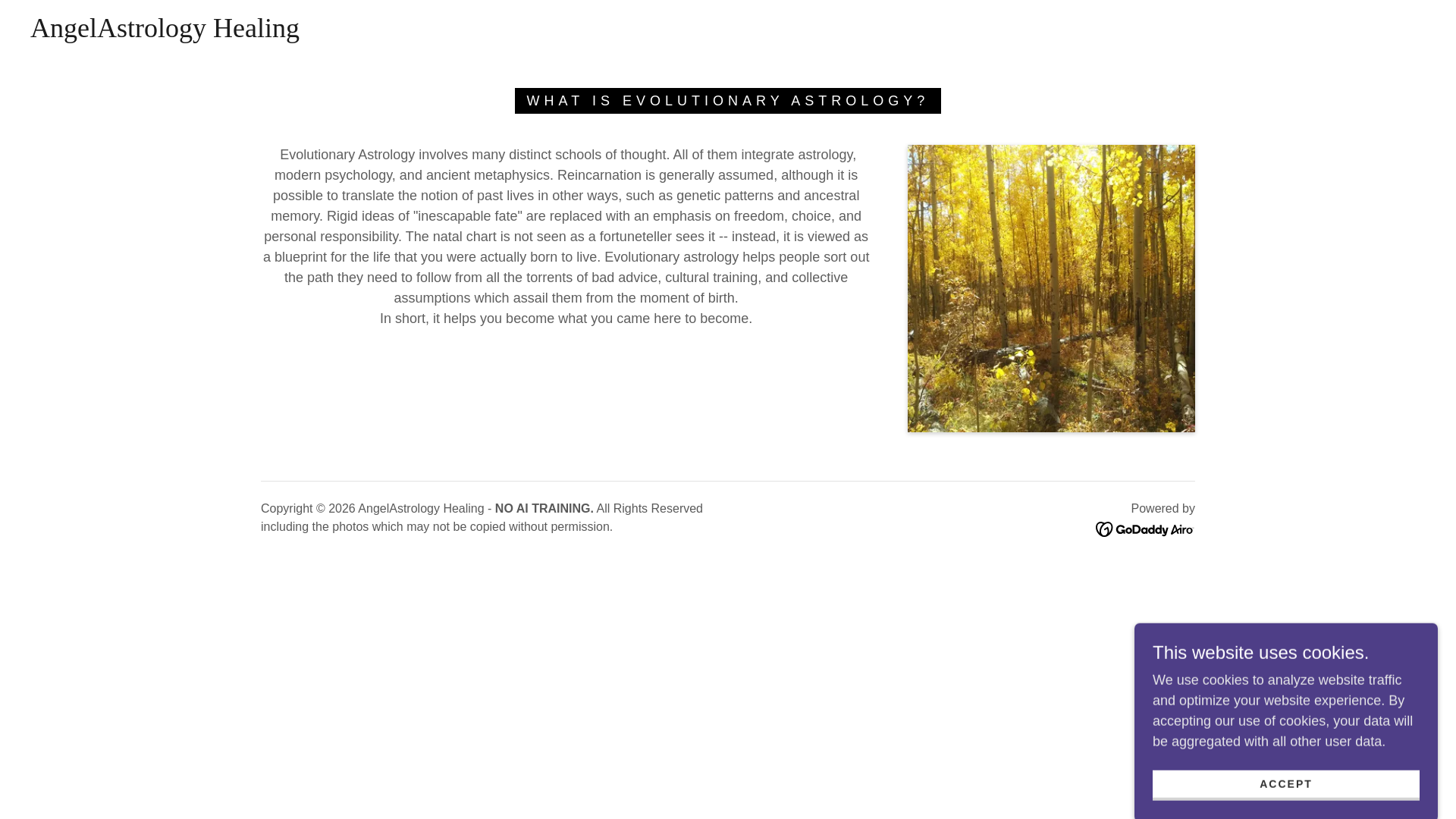website screenshot of https://angelastrologyhealing.info/