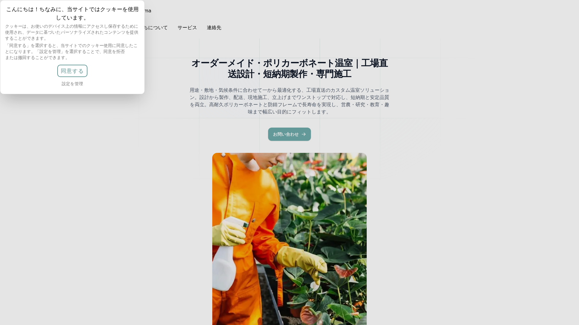 website screenshot of https://clovenecloudco.click