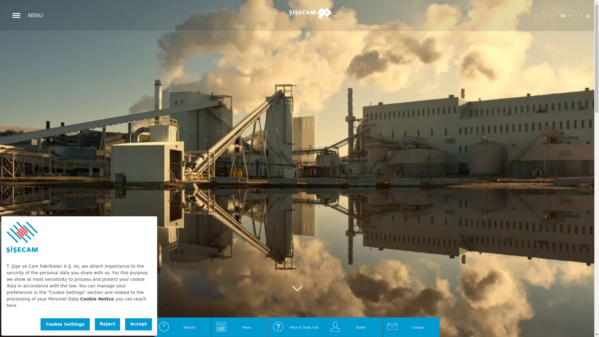 website screenshot of https://www.sisecamusa.com/en