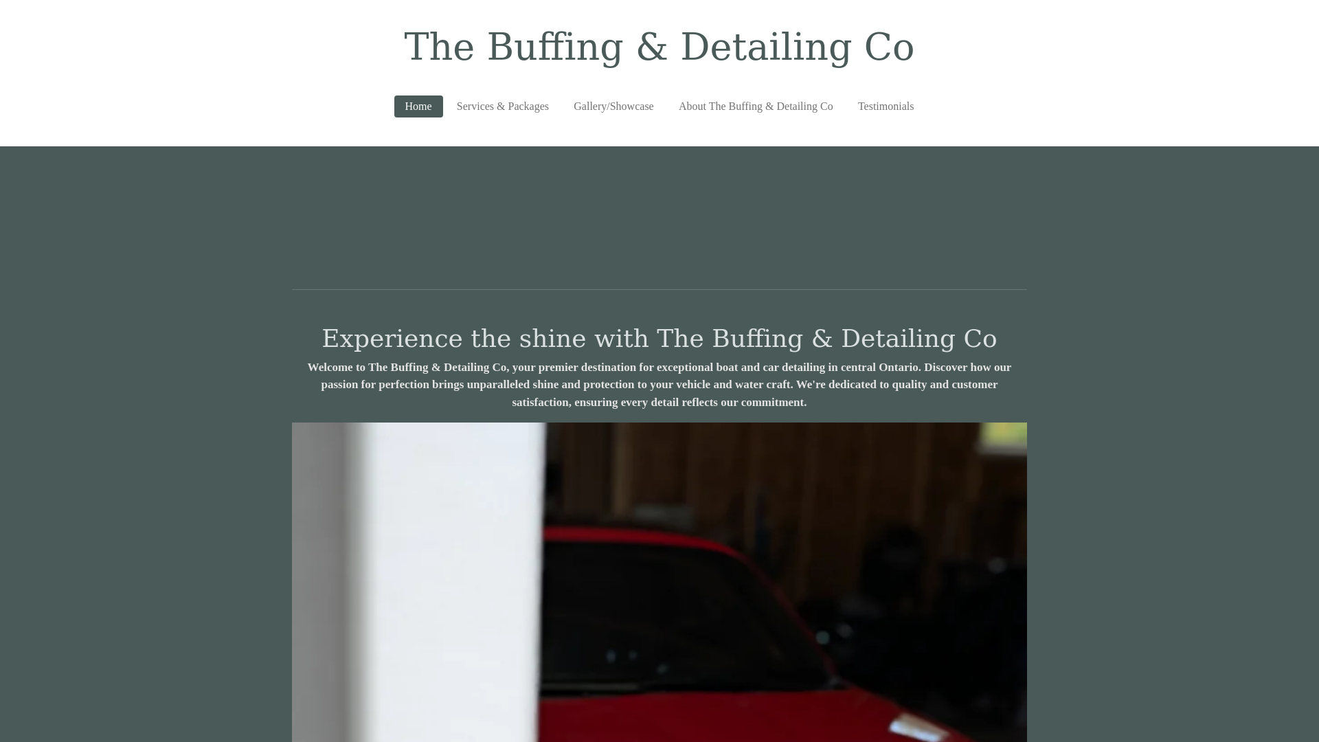 website screenshot of https://thebuffingdetailingco.ca