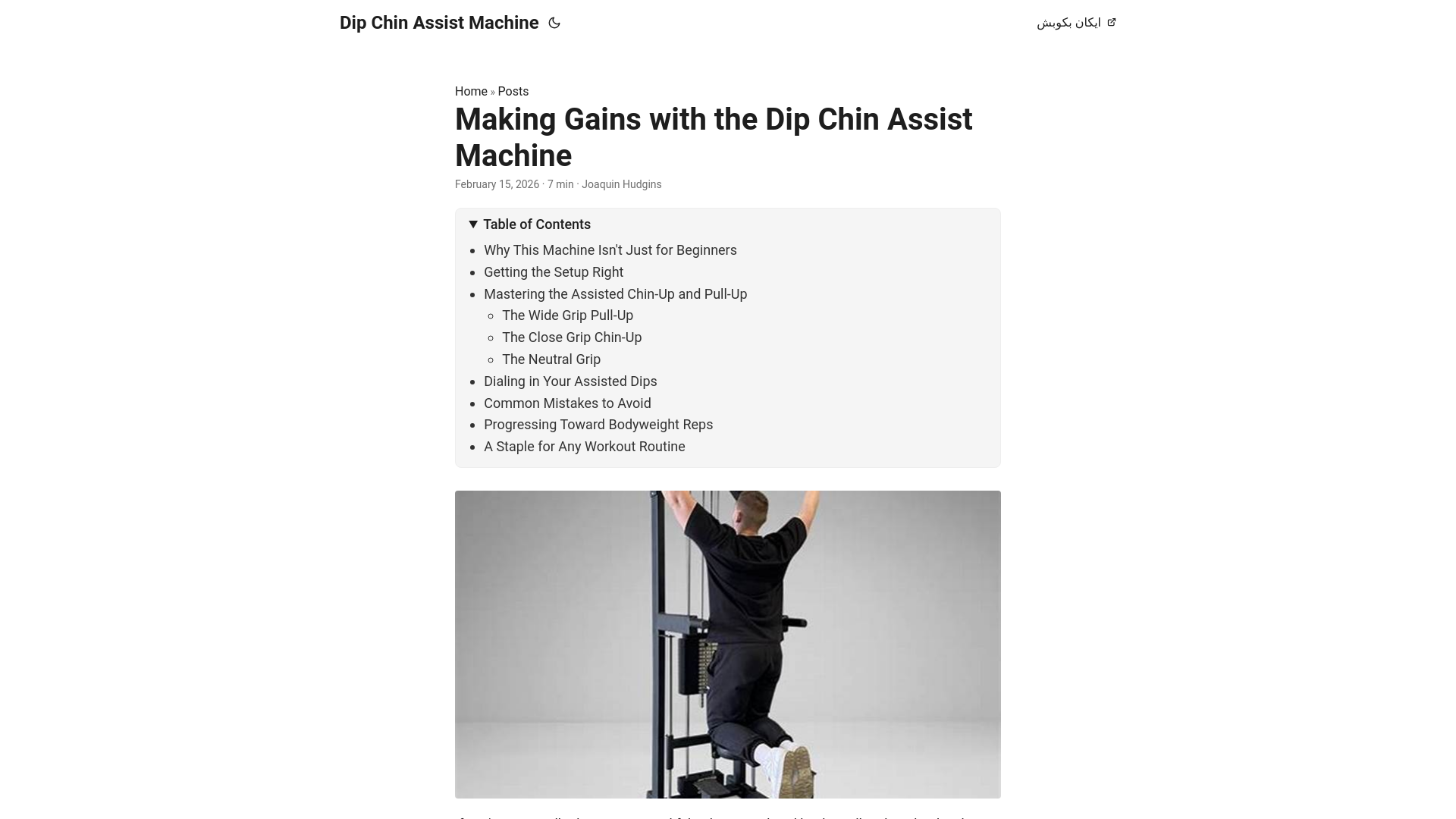 website screenshot of https://dip-chin-assist-machine.pages.dev/