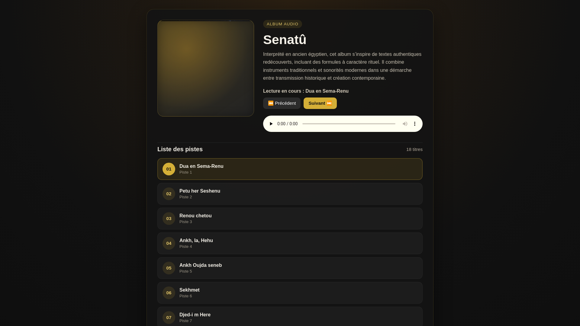 website screenshot of https://senatu.eu/