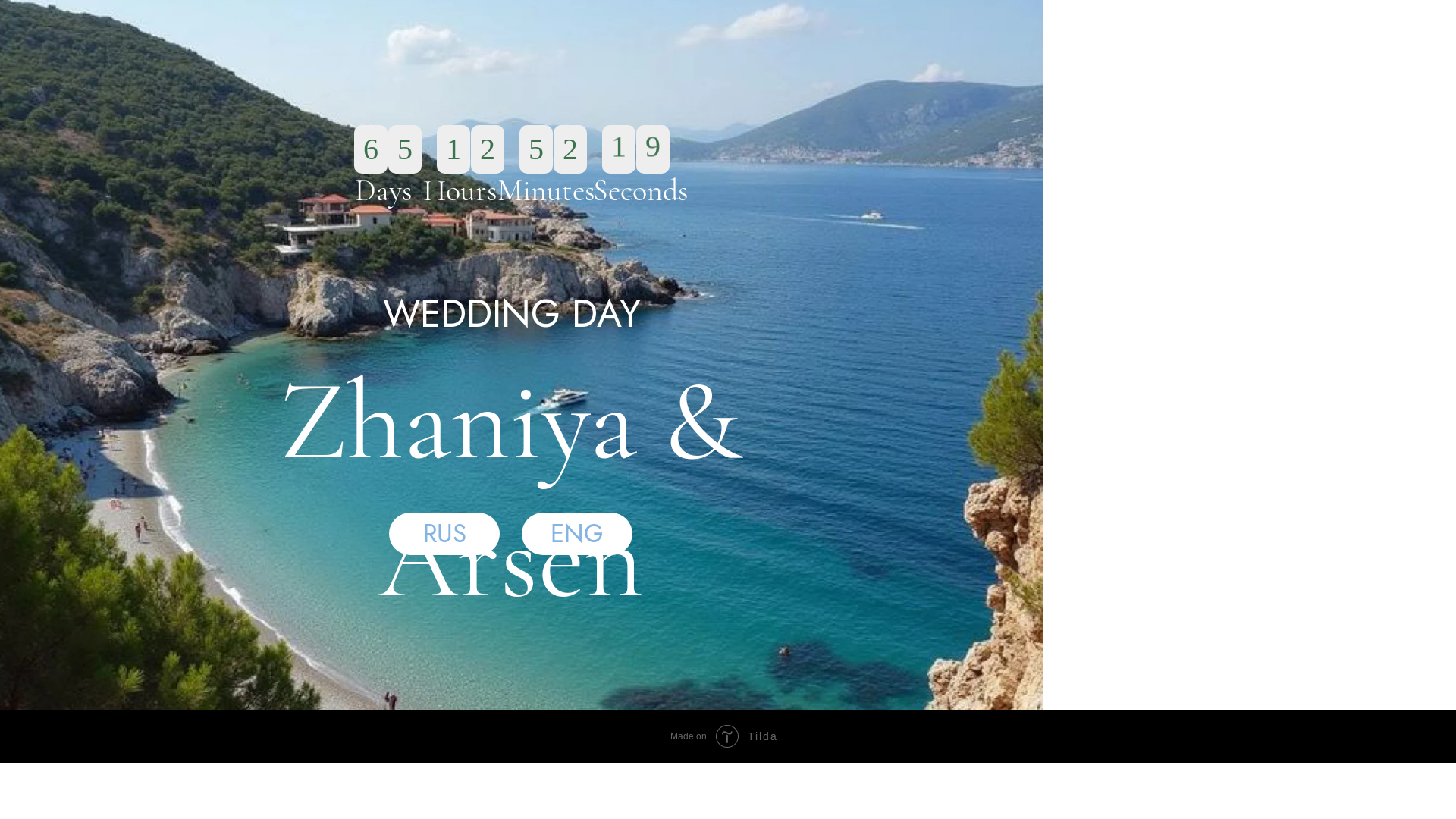 website screenshot of https://zhaniyaarsen.com/