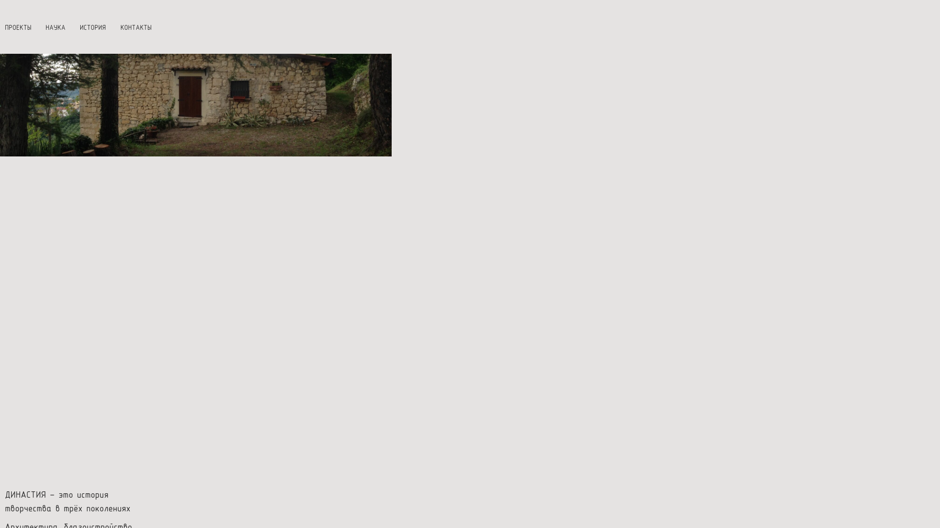 website screenshot of https://dynastypartners.su