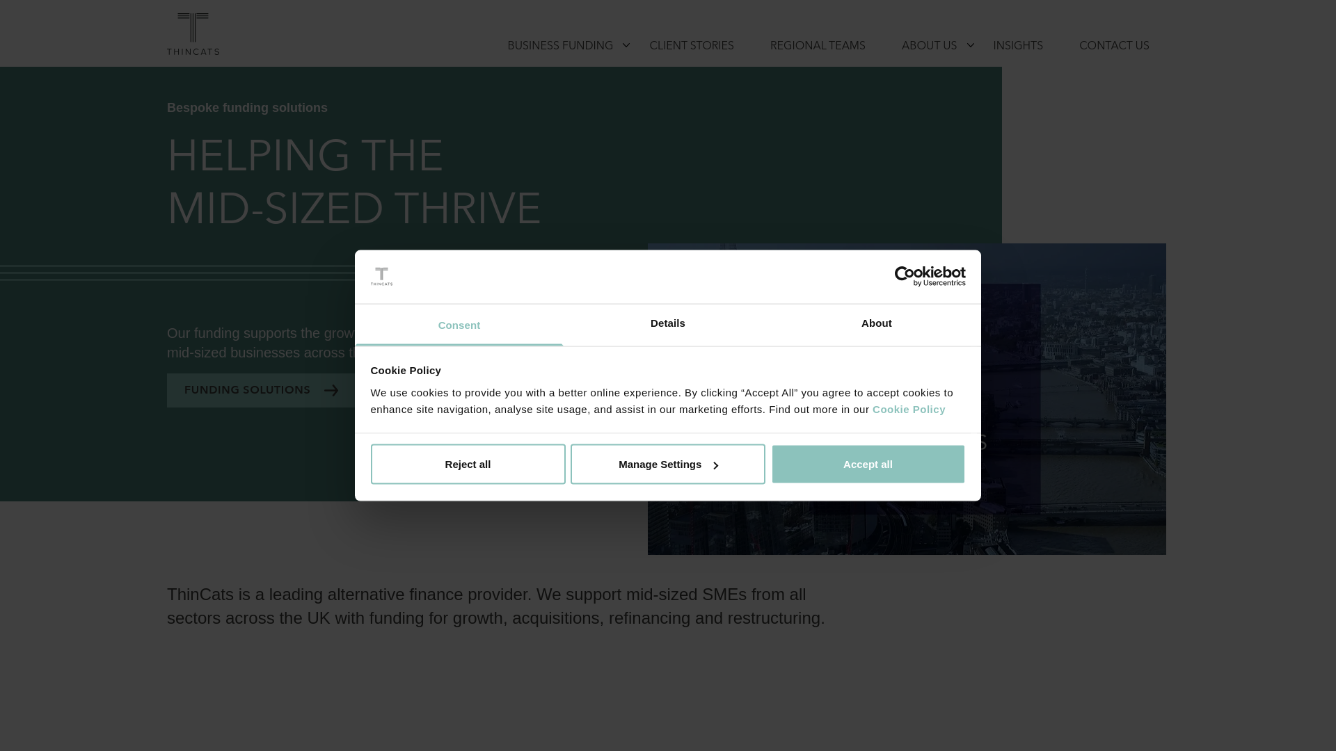 website screenshot of https://thincats.com/