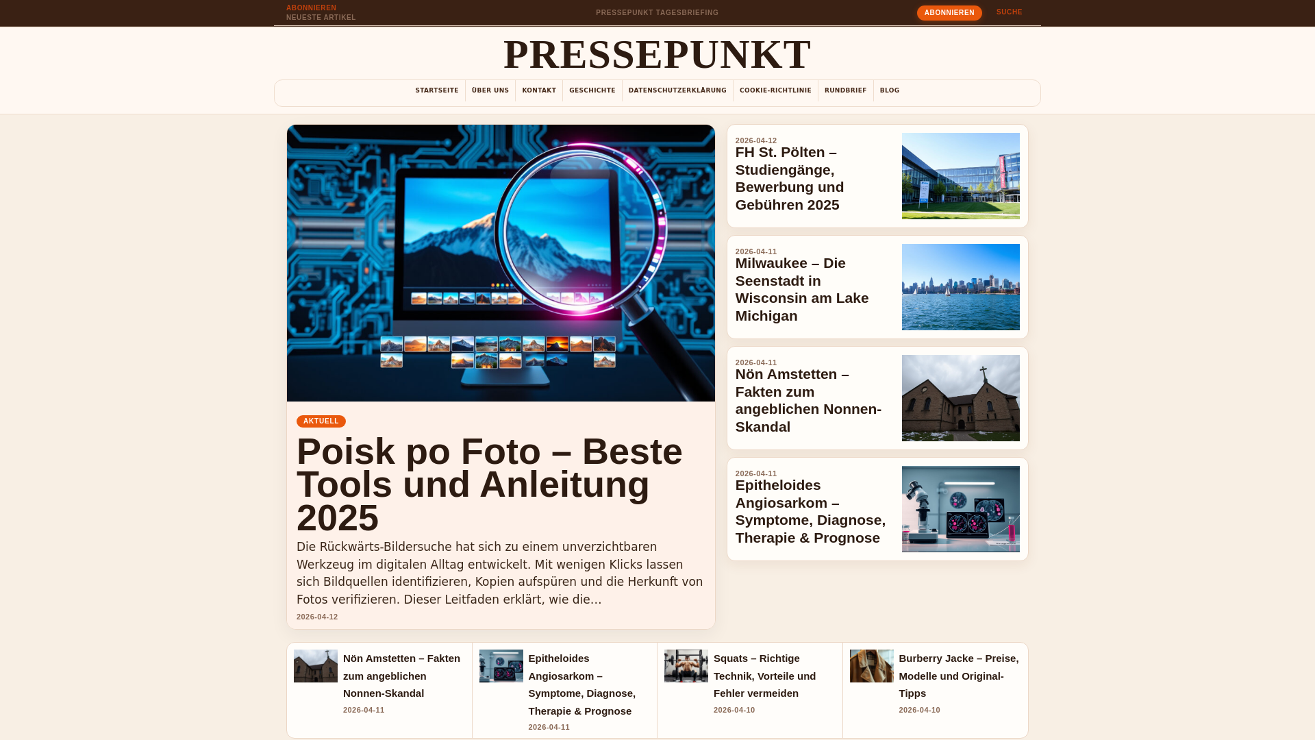 website screenshot of https://pressepunkt.at