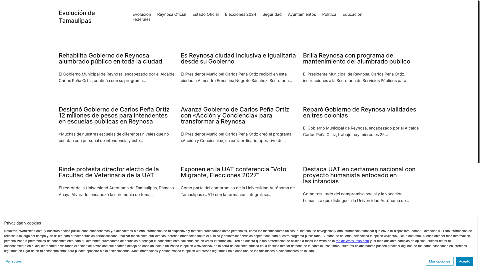 website screenshot of https://evoluciondetamaulipas.com