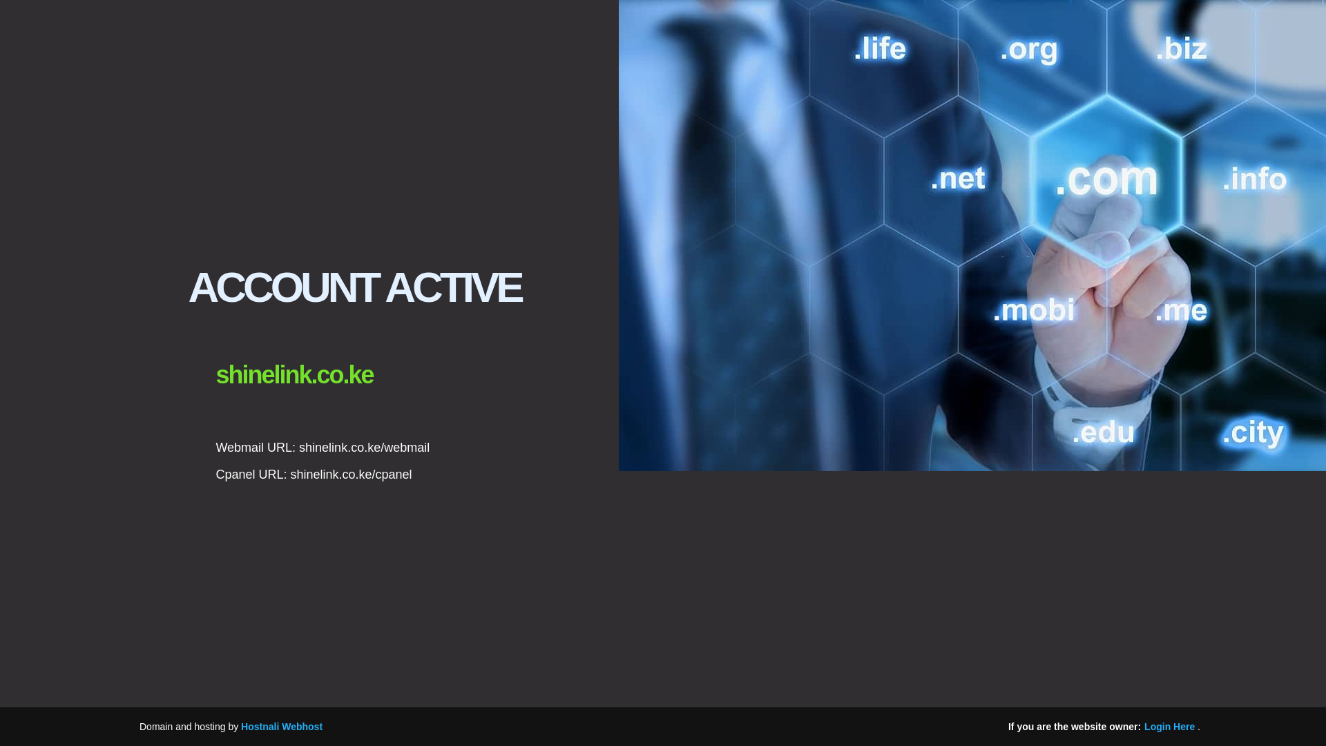 website screenshot of https://shinelink.co.ke/
