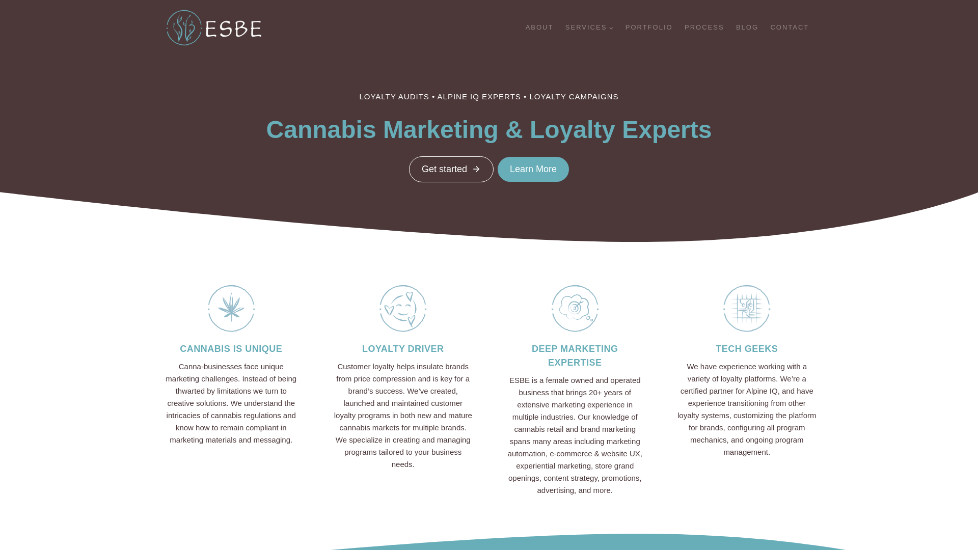 website screenshot of https://esbemarketingit.com