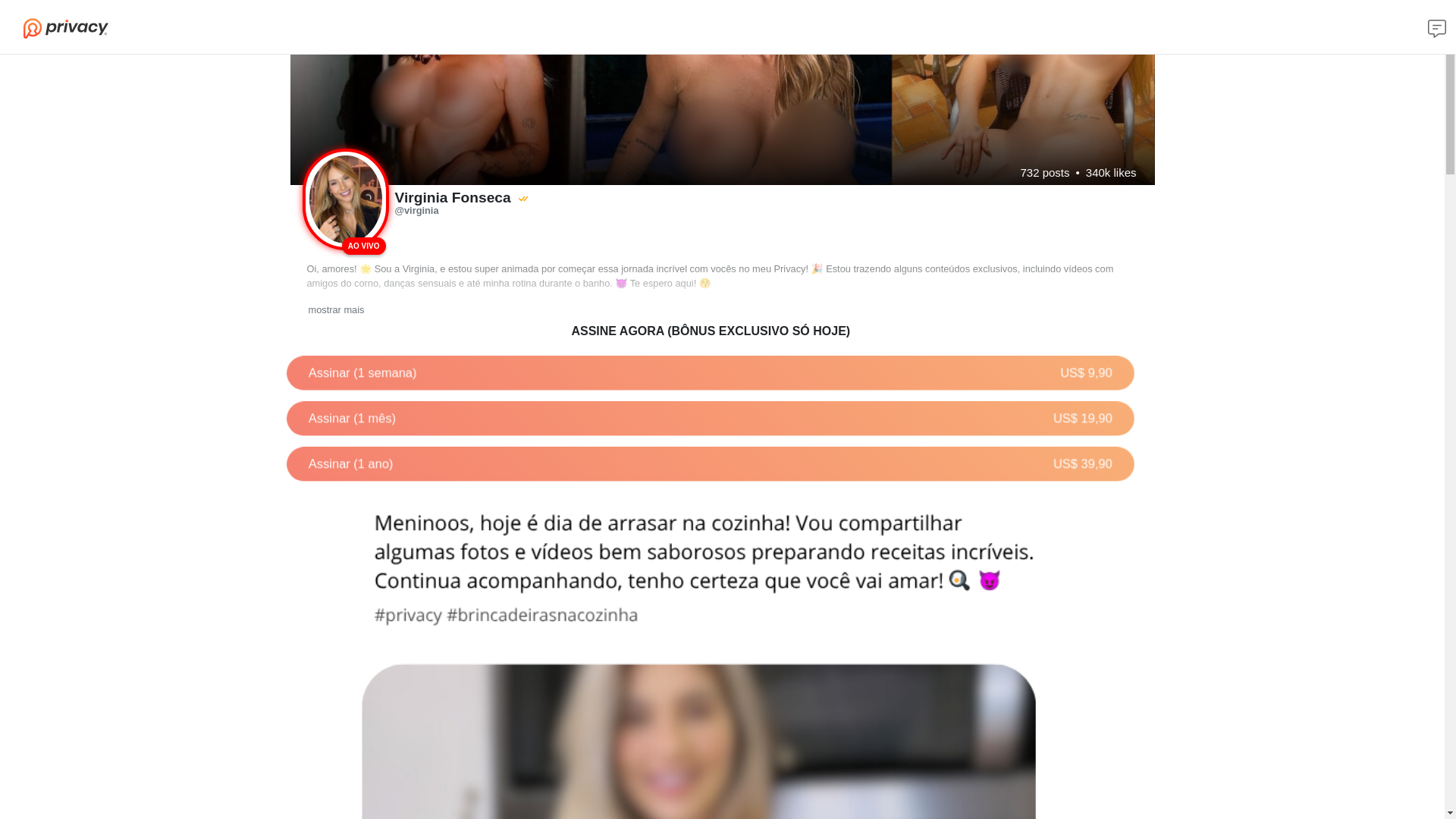 website screenshot of https://privacyvirginiafonseca.net.br/