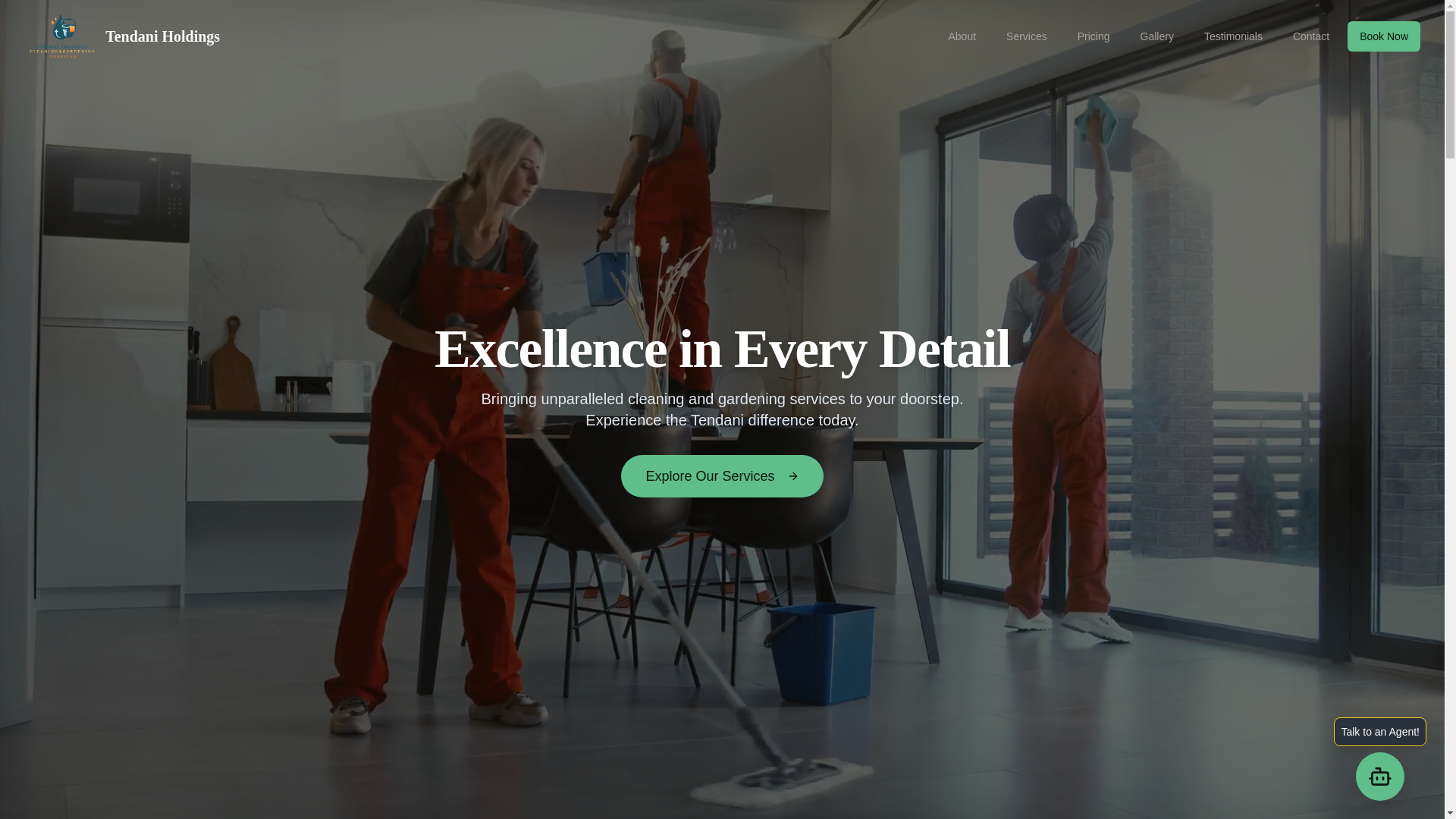 website screenshot of https://tendani.pages.dev/