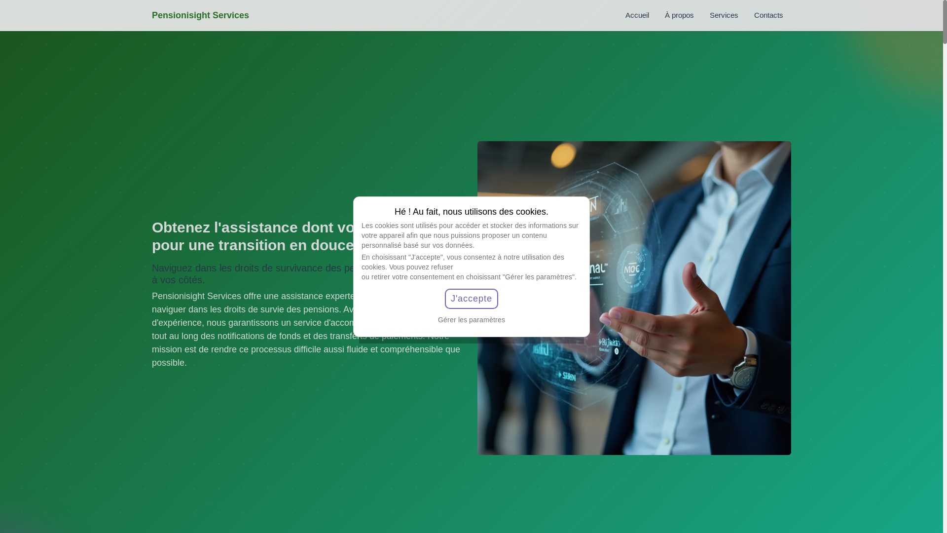 website screenshot of https://pensionisightservicesde.com/
