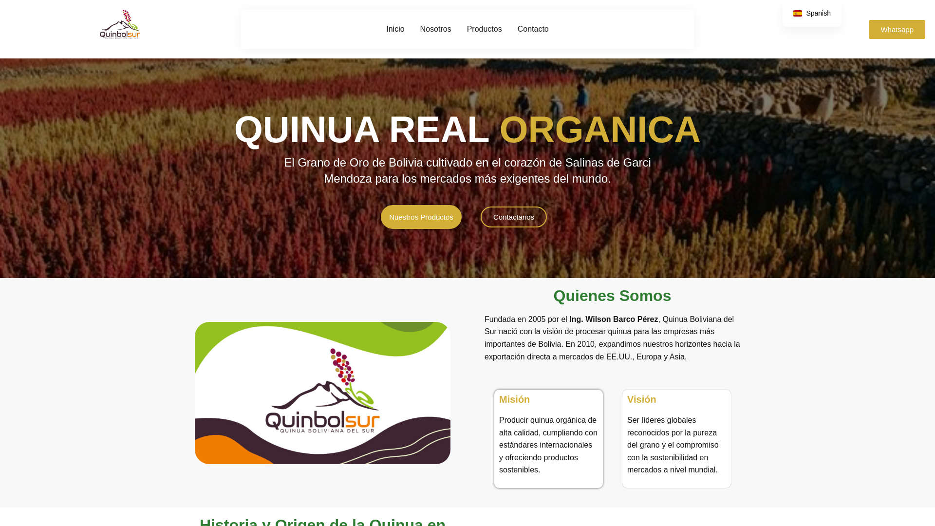 website screenshot of https://quinbolsur.com/