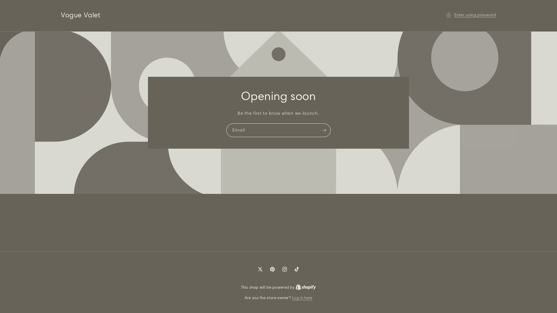 website screenshot of https://voguevalet.store/