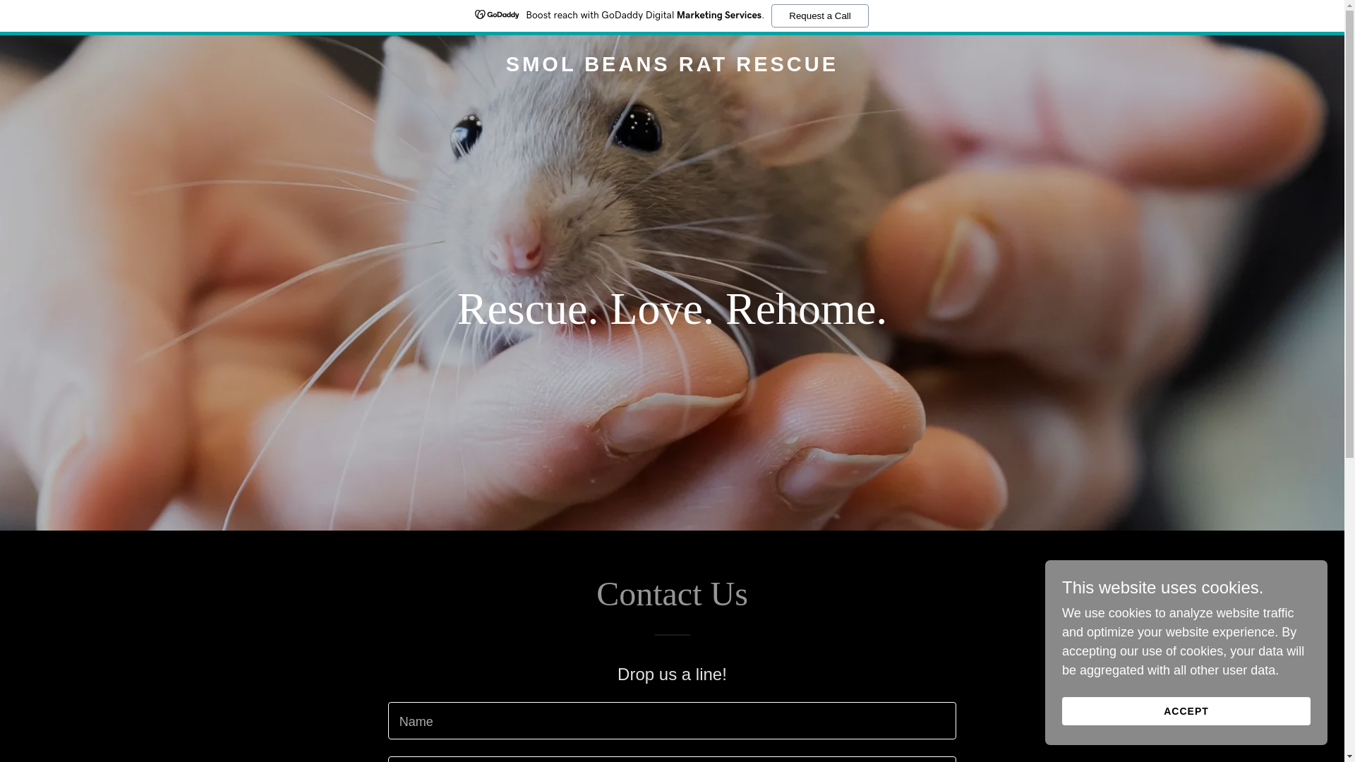 website screenshot of https://smolbeansratrescue.com/