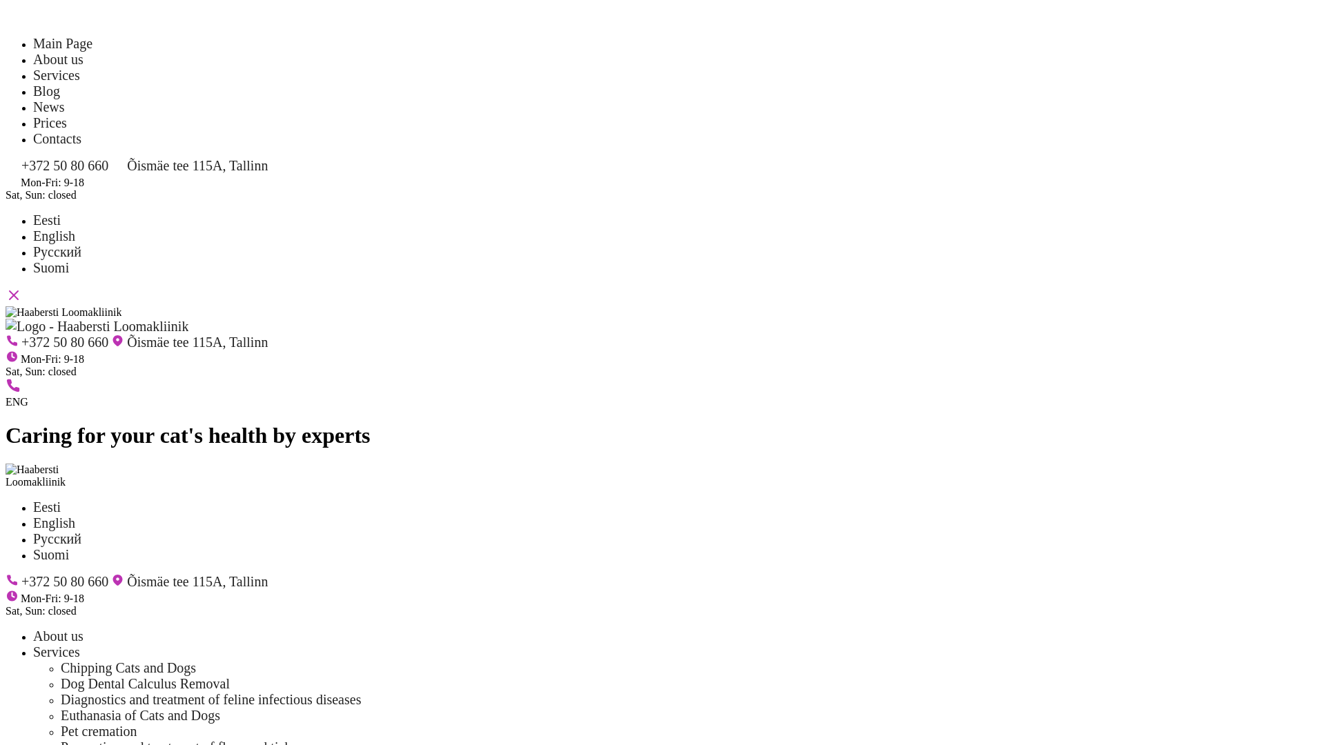 website screenshot of https://beneficialtrumpet.com/