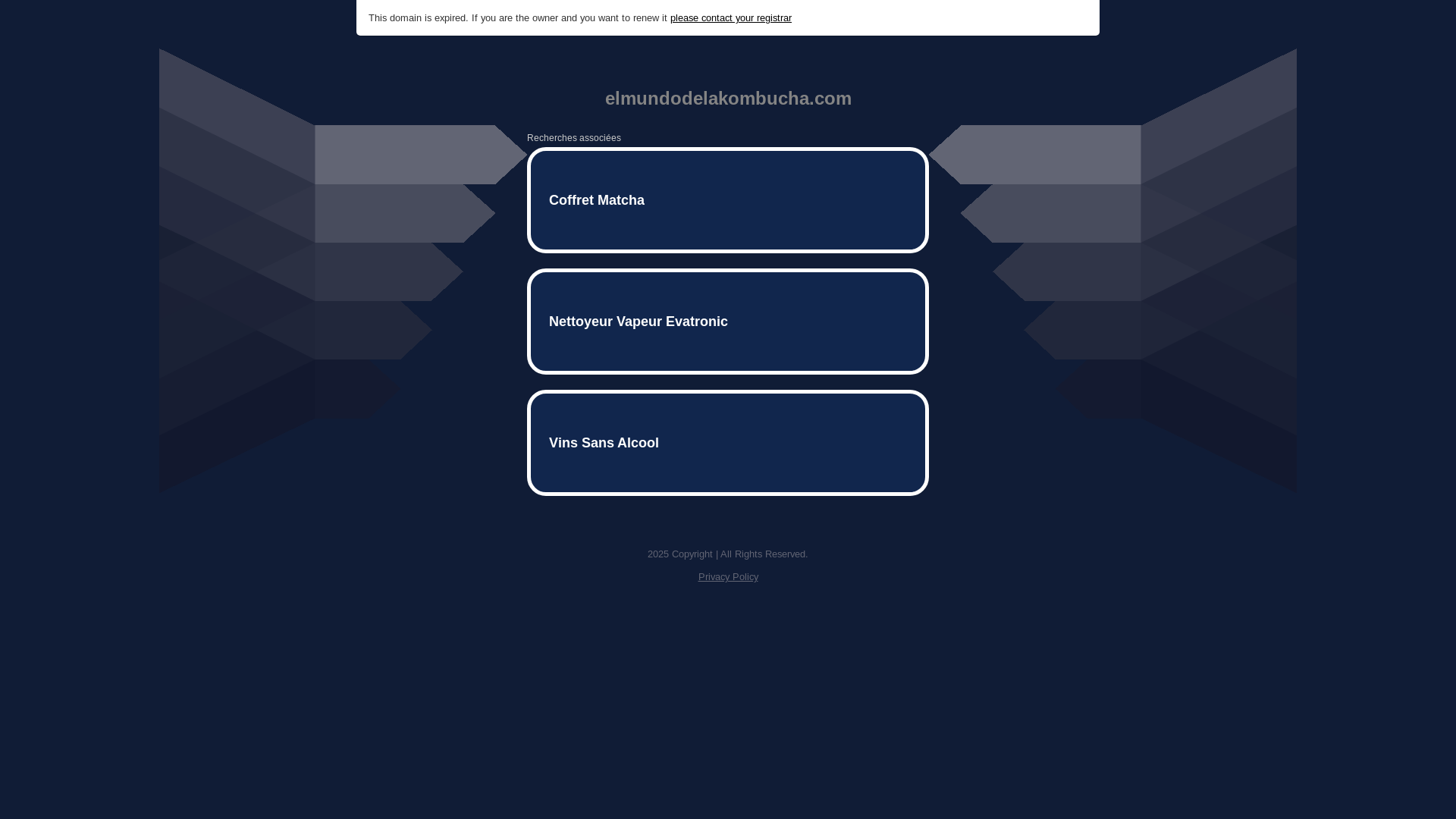 website screenshot of https://elmundodelakombucha.com/