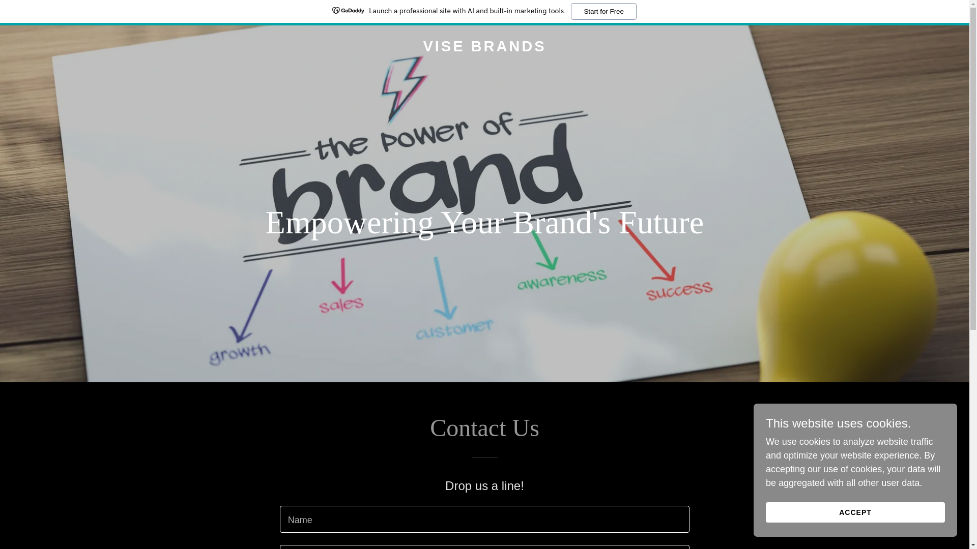 website screenshot of https://visebrands.com/