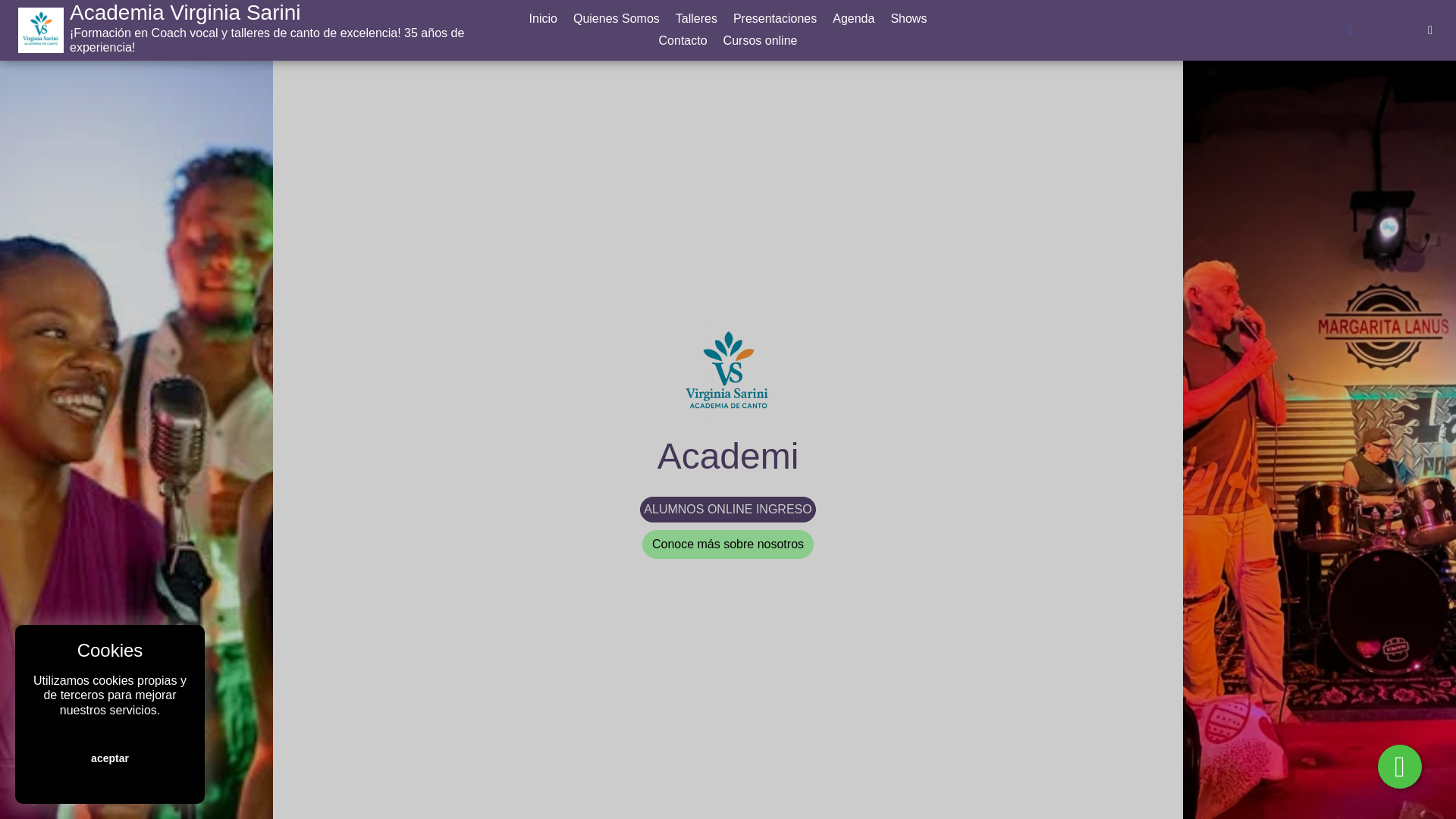 website screenshot of https://academiavirginiasarini.online/