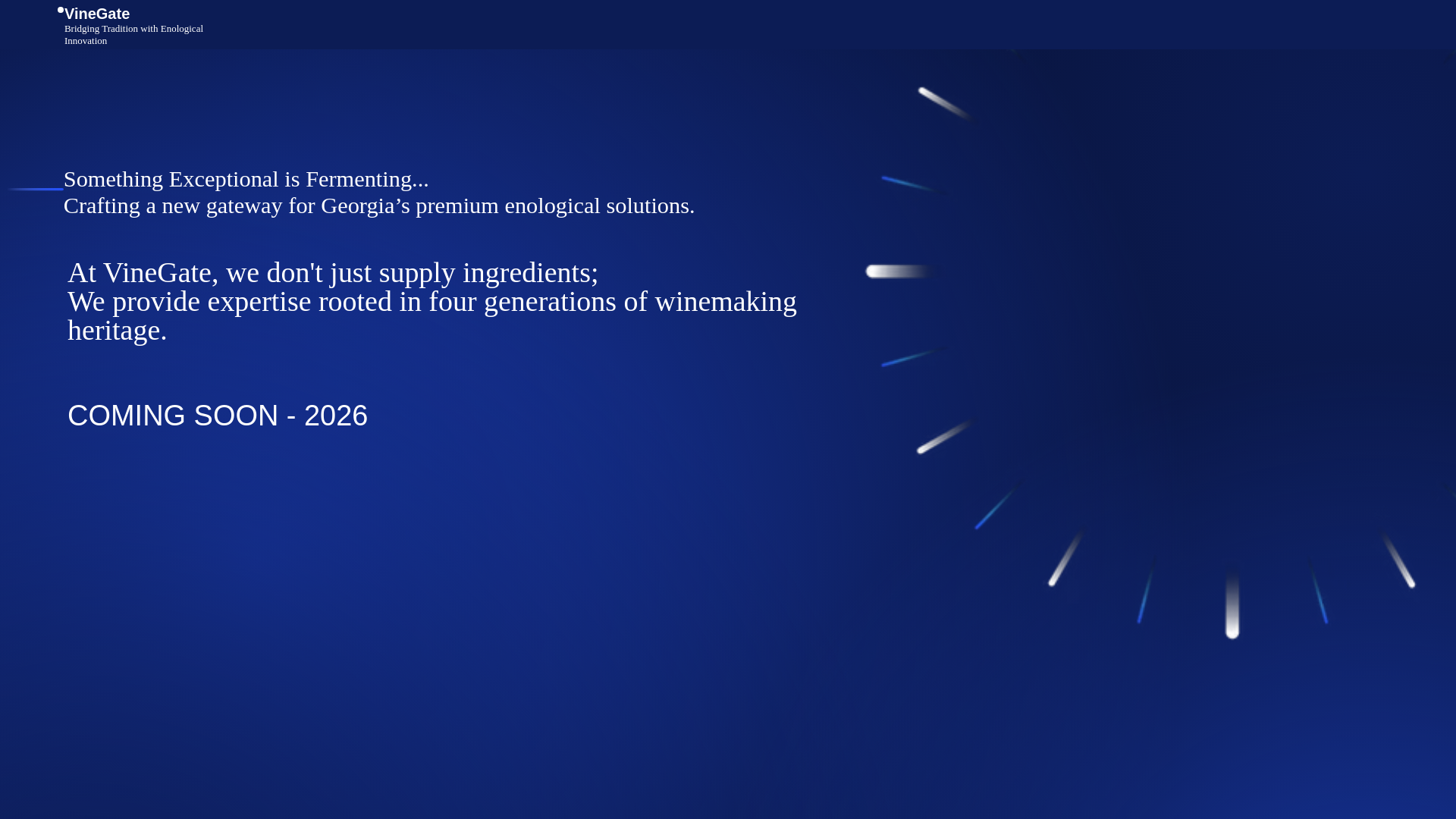 website screenshot of https://vinegate.ge/