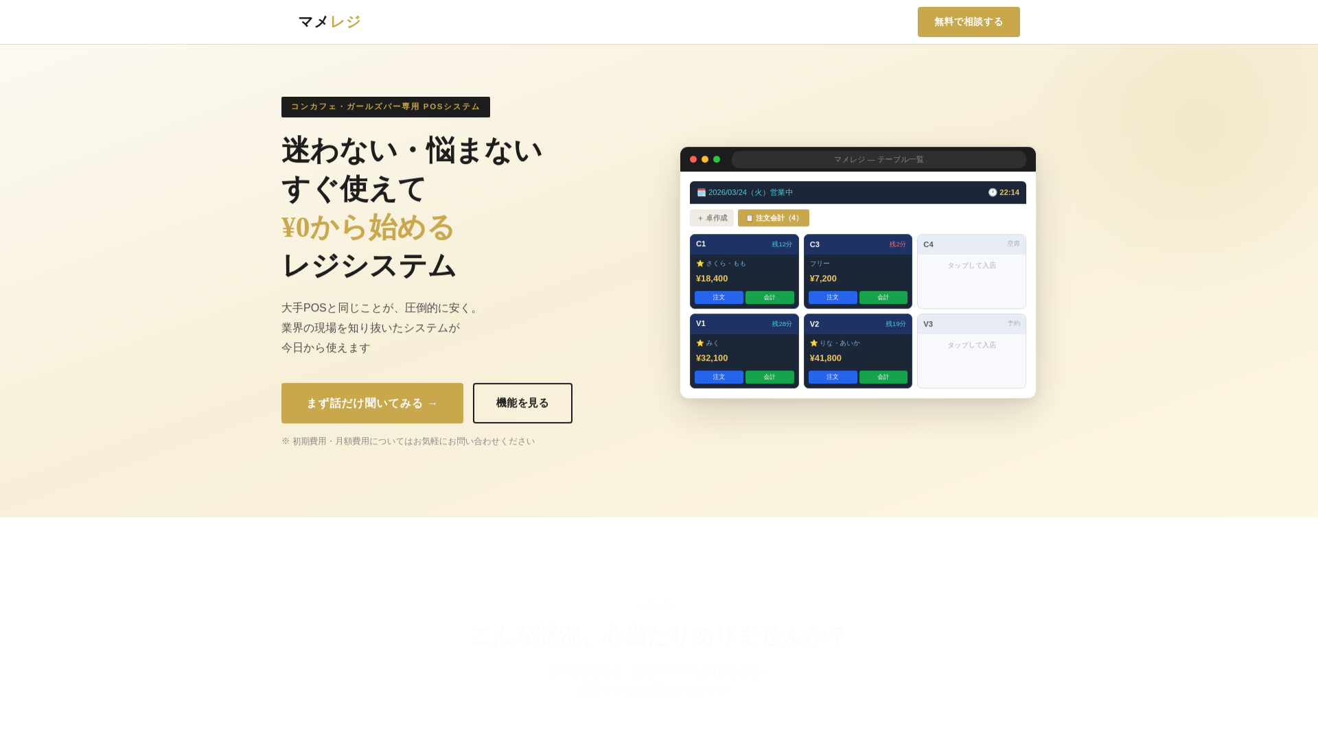 website screenshot of https://mamesys.com