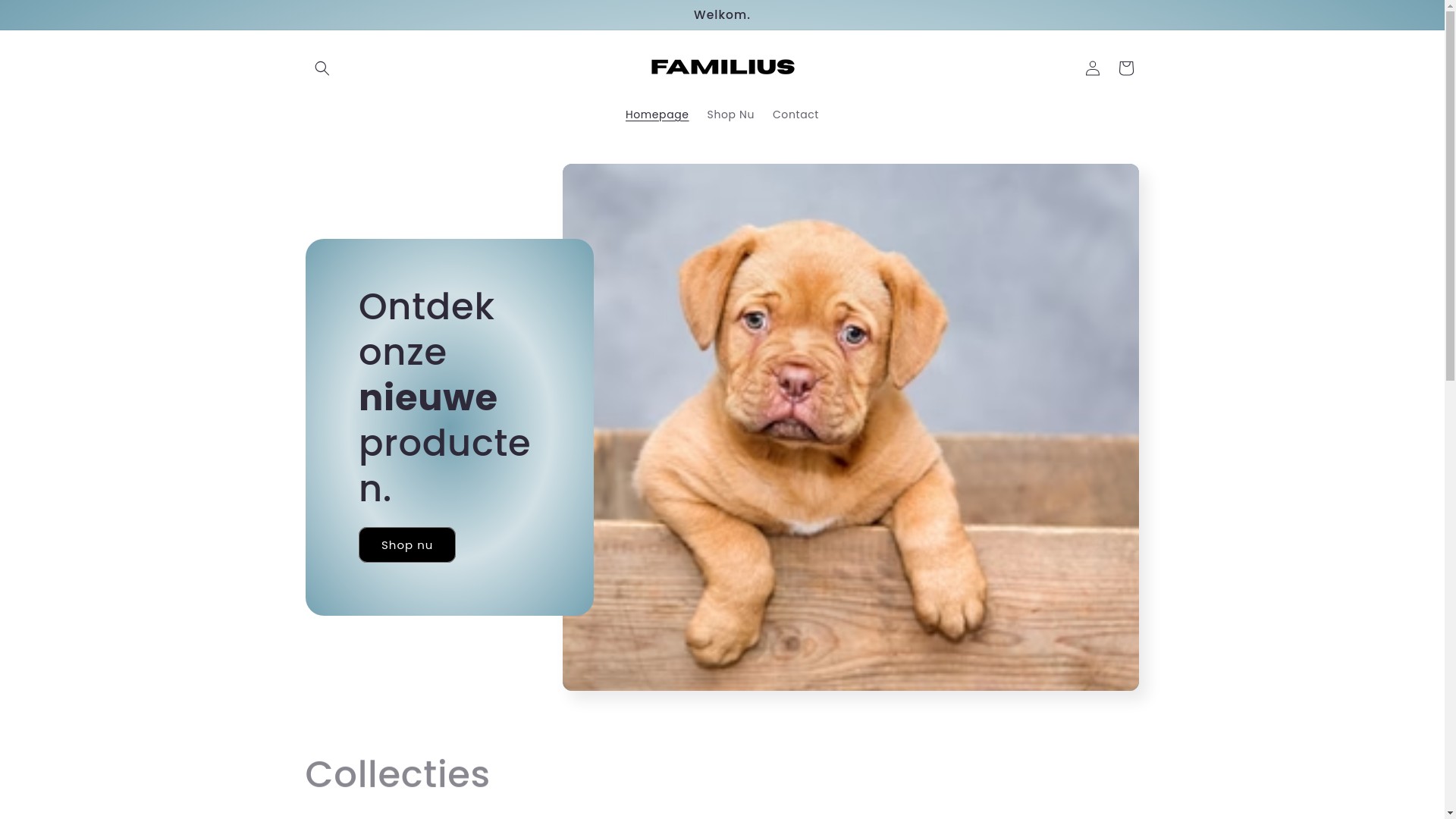 website screenshot of https://familiusstore.com/