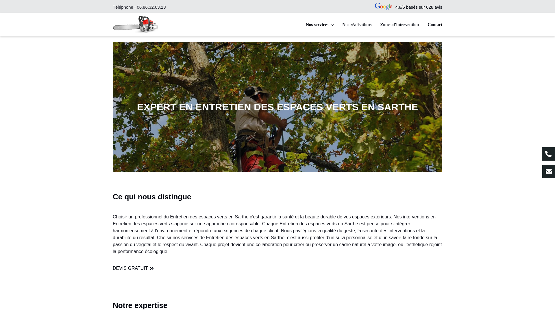 website screenshot of https://services-elagage-72.fr