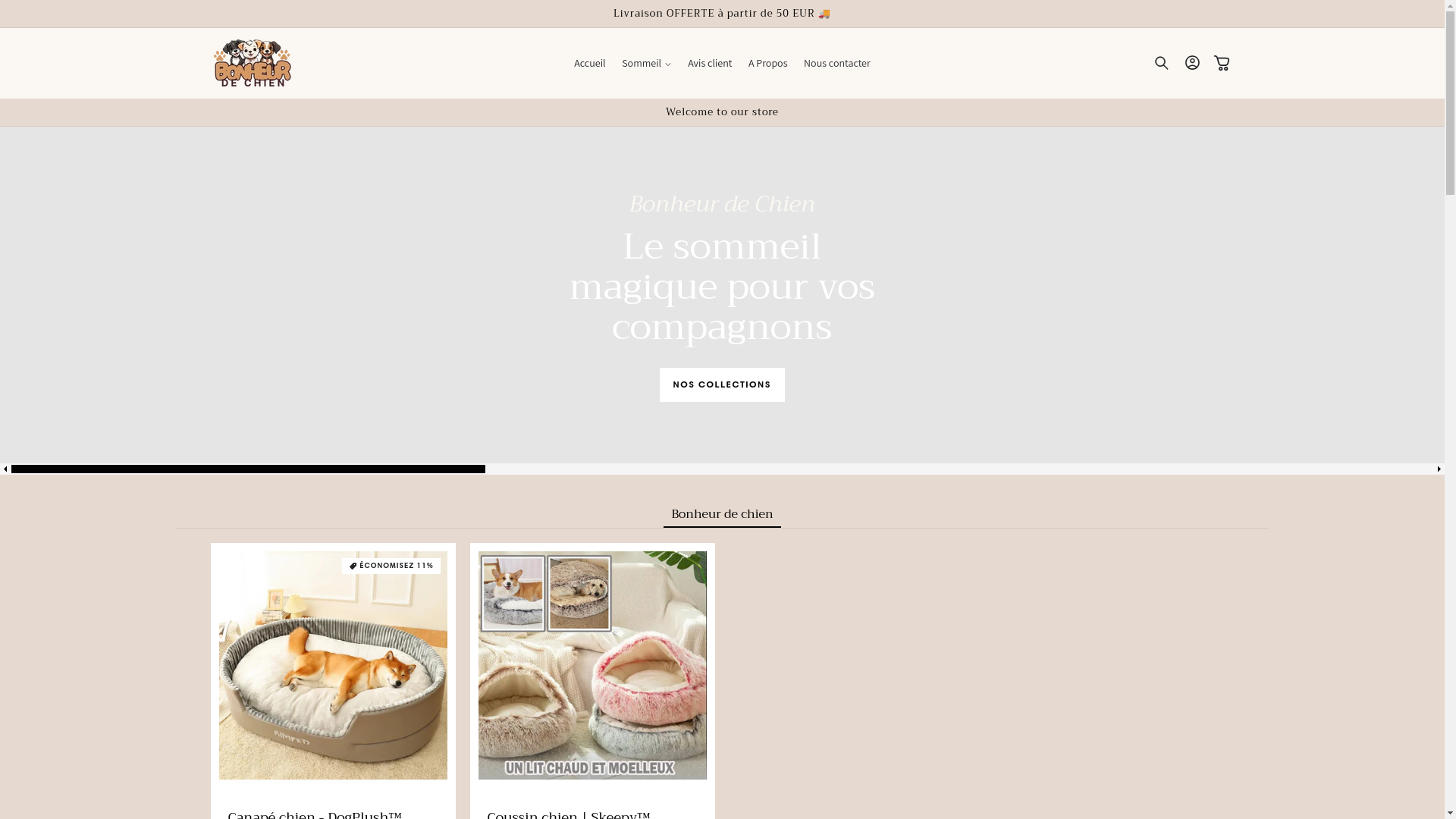 website screenshot of https://bonheurdechien.fr/