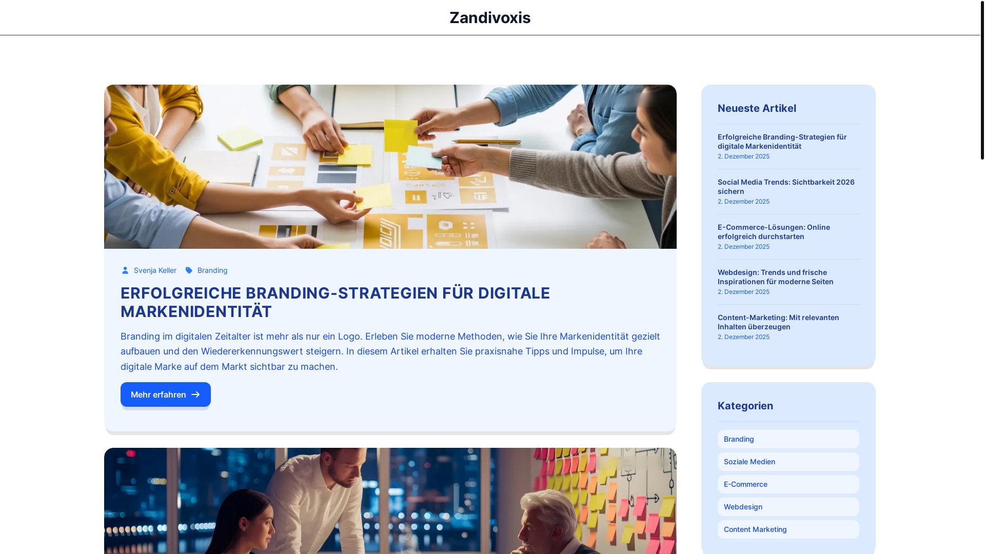 website screenshot of https://zandivoxis.sbs/