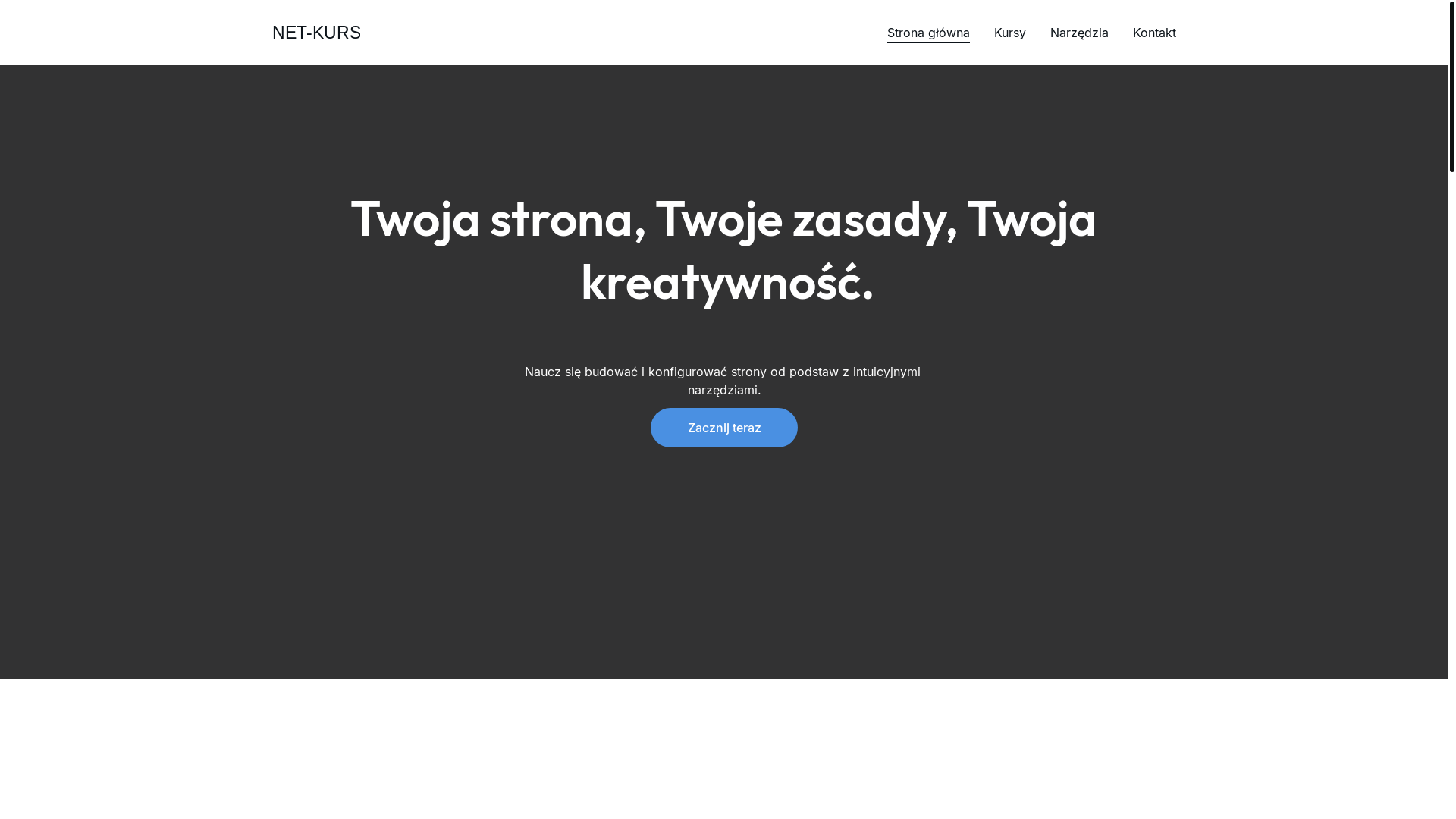 website screenshot of https://netkurs.site/