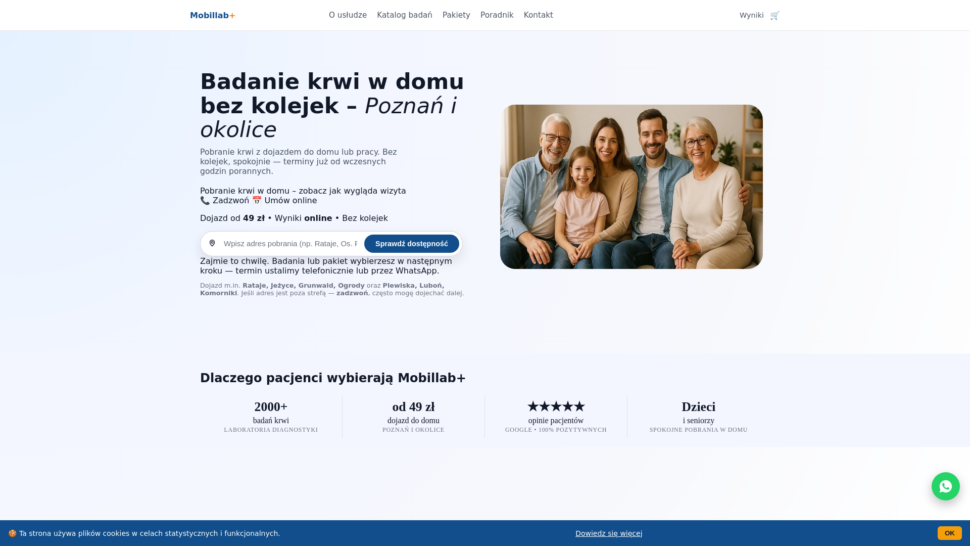 website screenshot of https://badania-krwi-poznan.pl/