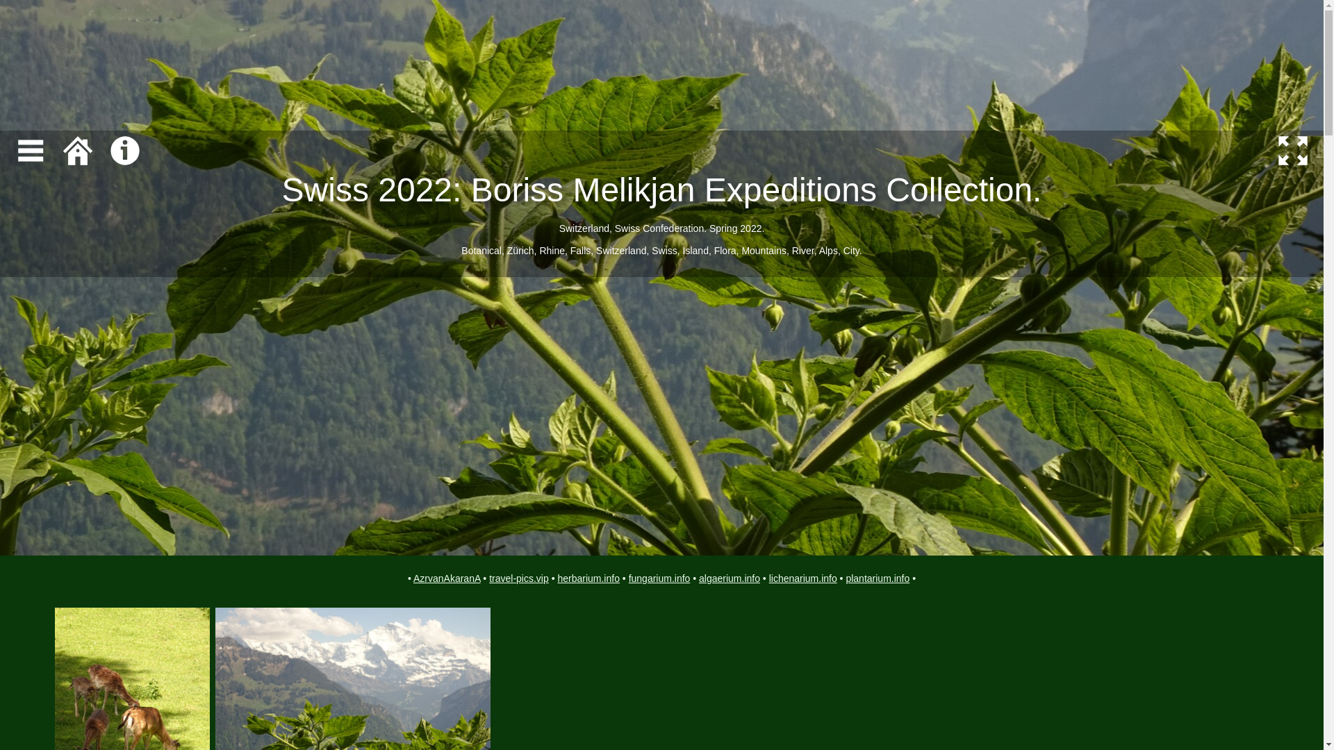 website screenshot of https://swiss-travel-pics.pages.dev/