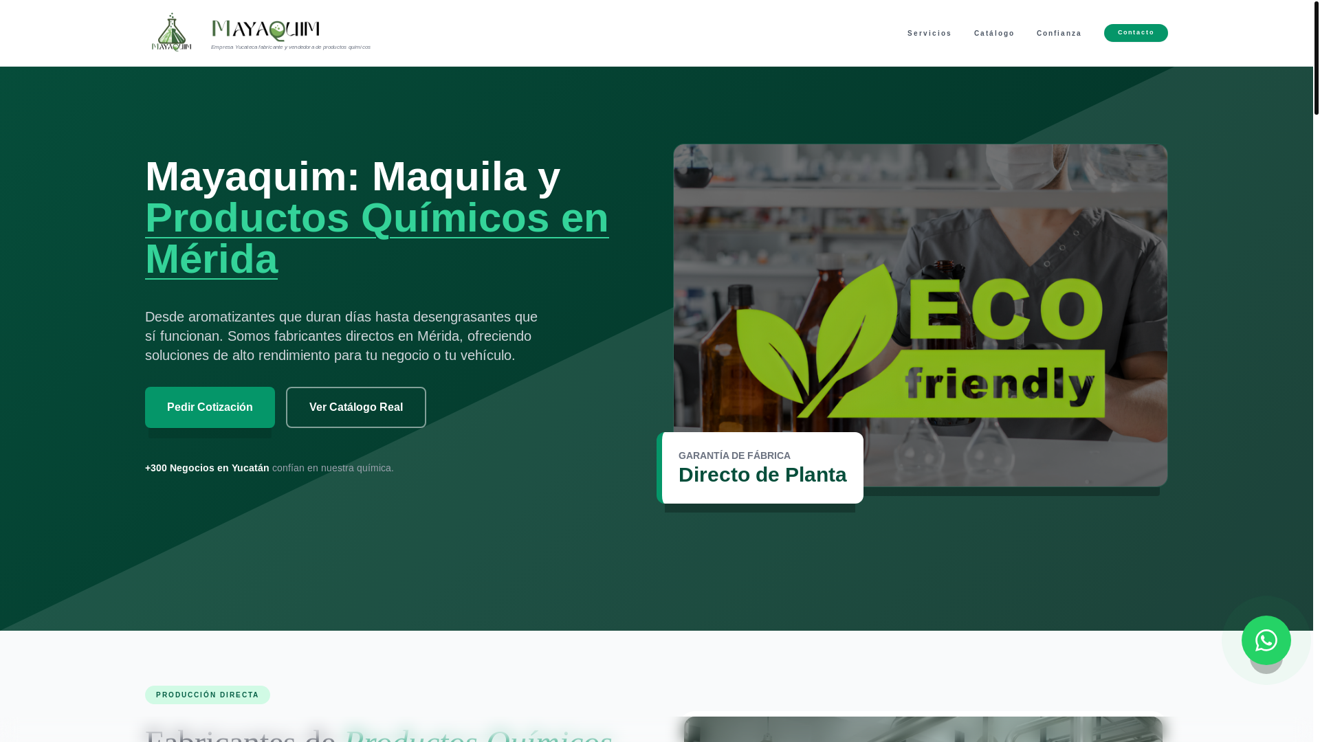 website screenshot of https://mayaquim.com/