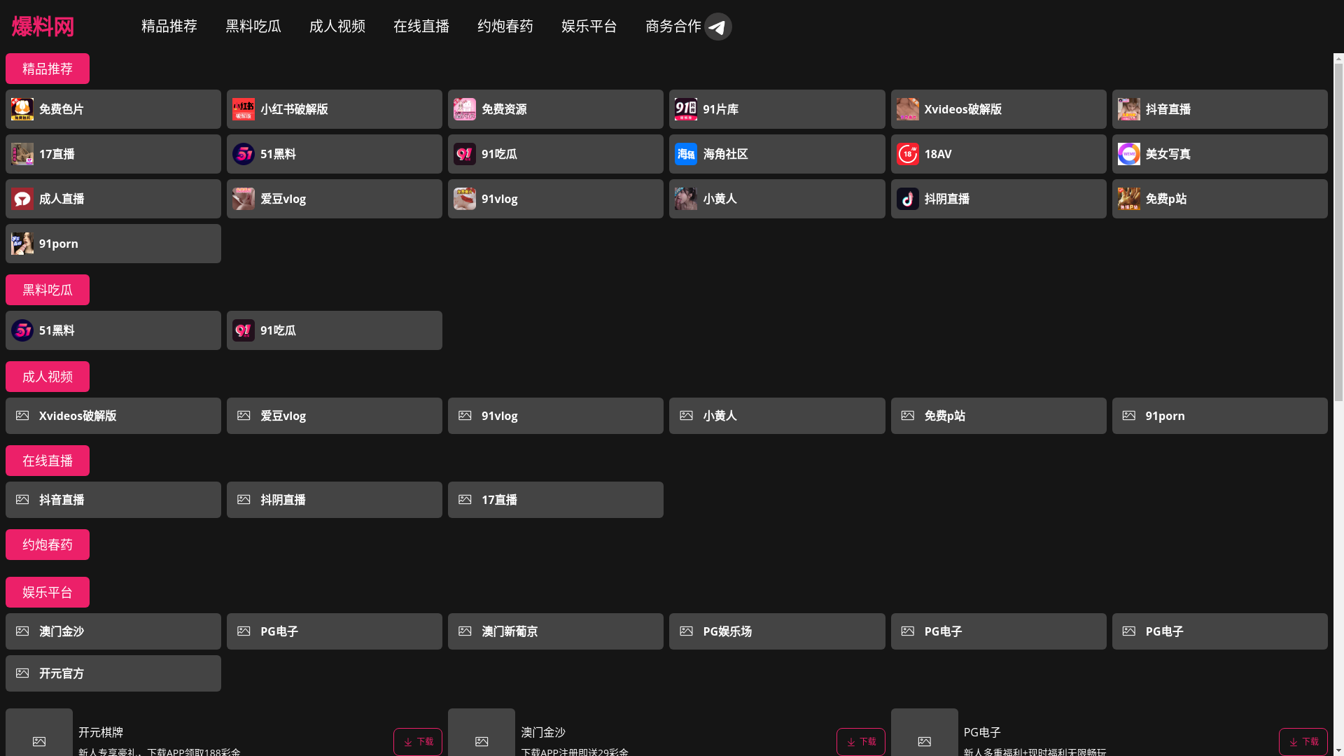 website screenshot of https://yyzipai.wiki/