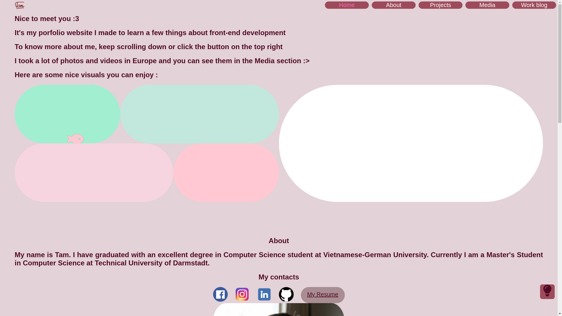 website screenshot of https://tamthai.pages.dev/